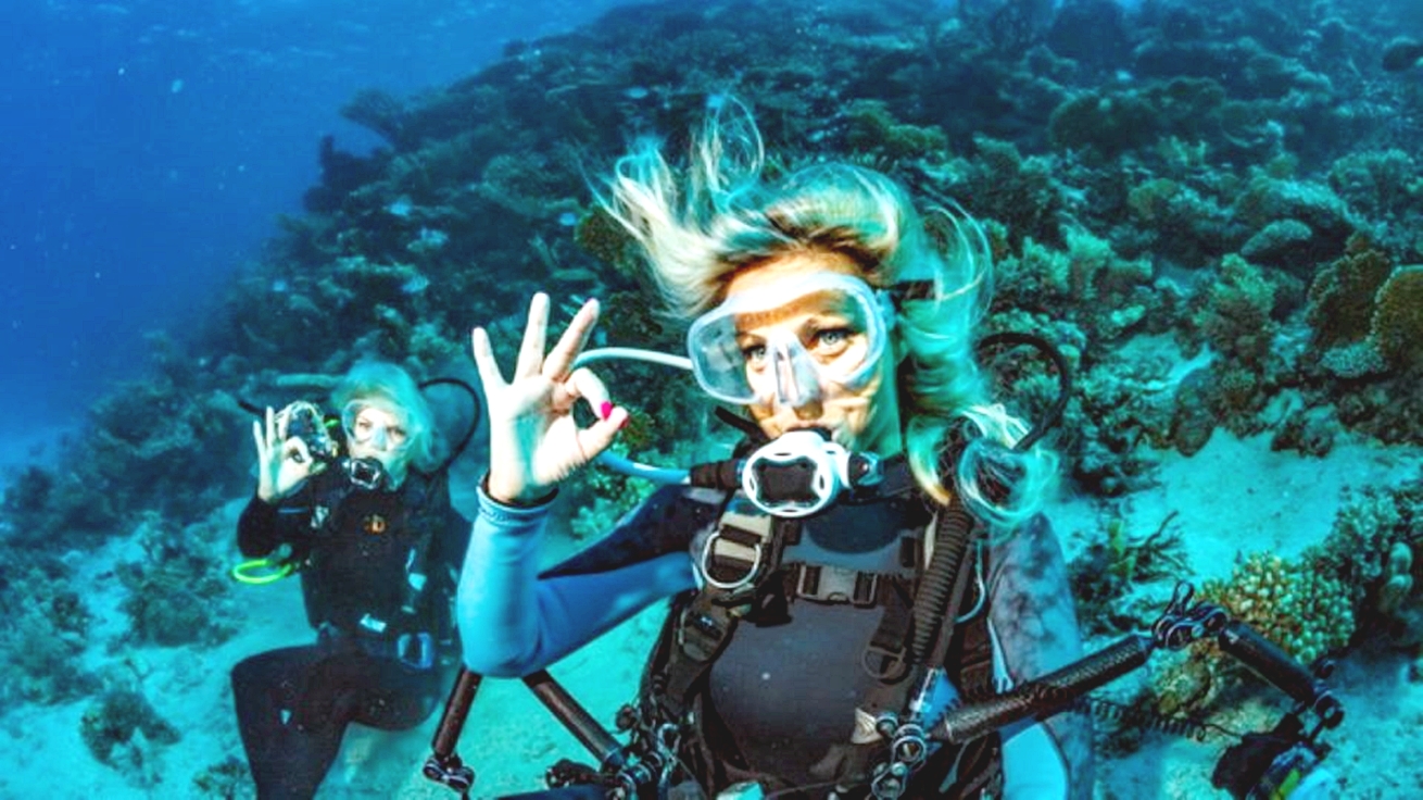 Sahl Hasheesh：潛水或浮潛游船之旅（含午餐）
