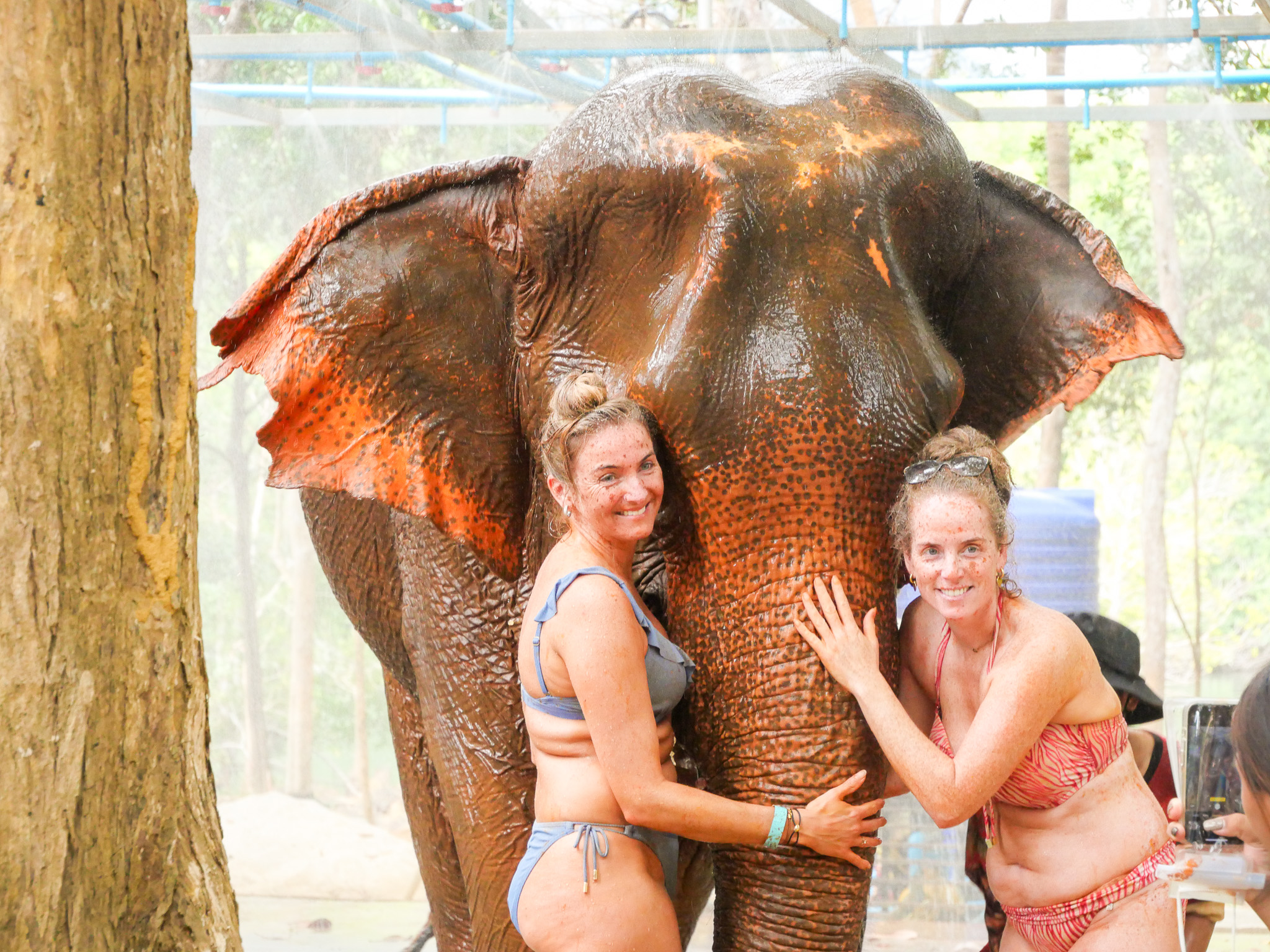 甲米大象保護區（Krabi Elephant Shelter）體驗