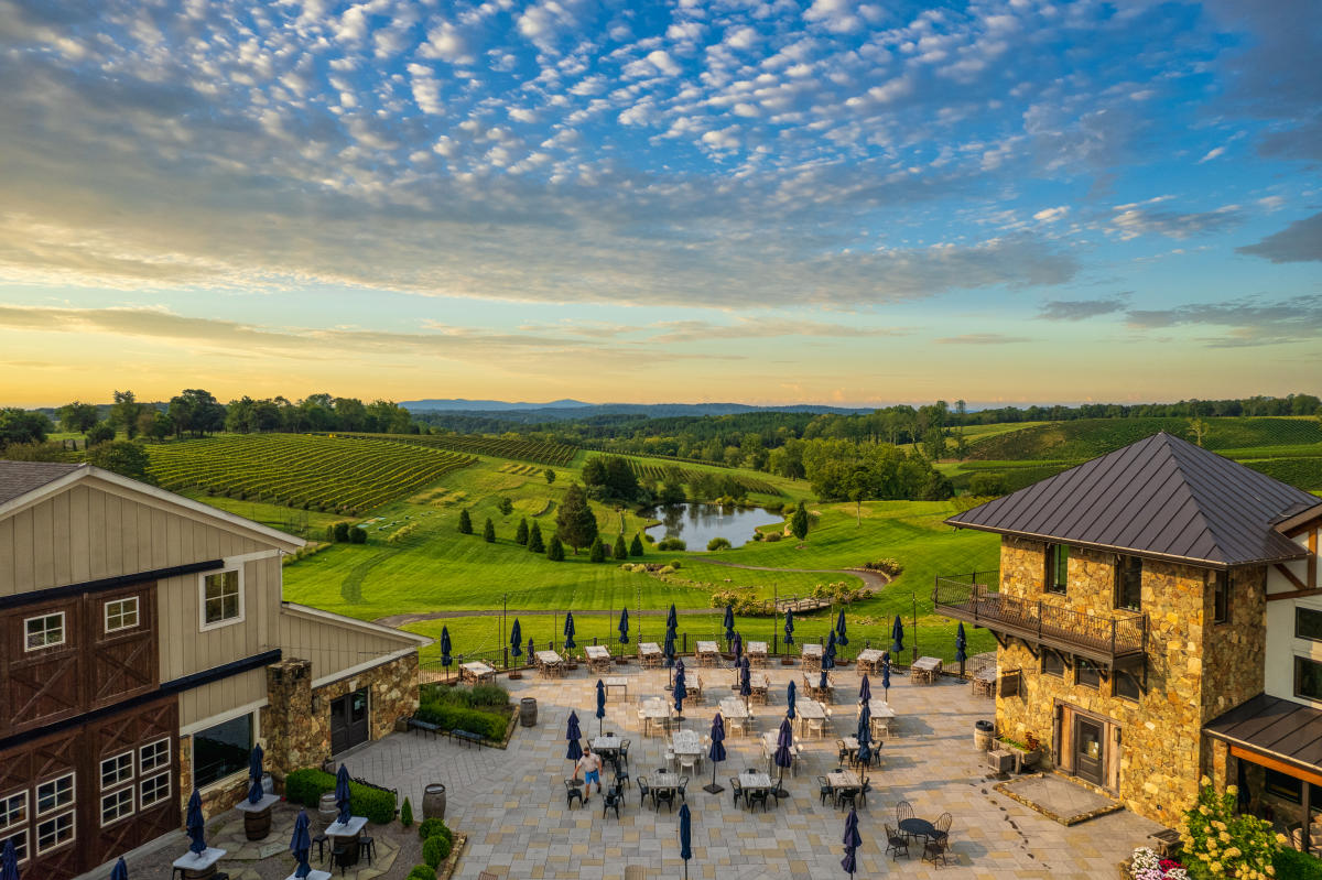 Wandering through vines, tasting exquisite wines, amid Stone Tower Winery's serene landscapes