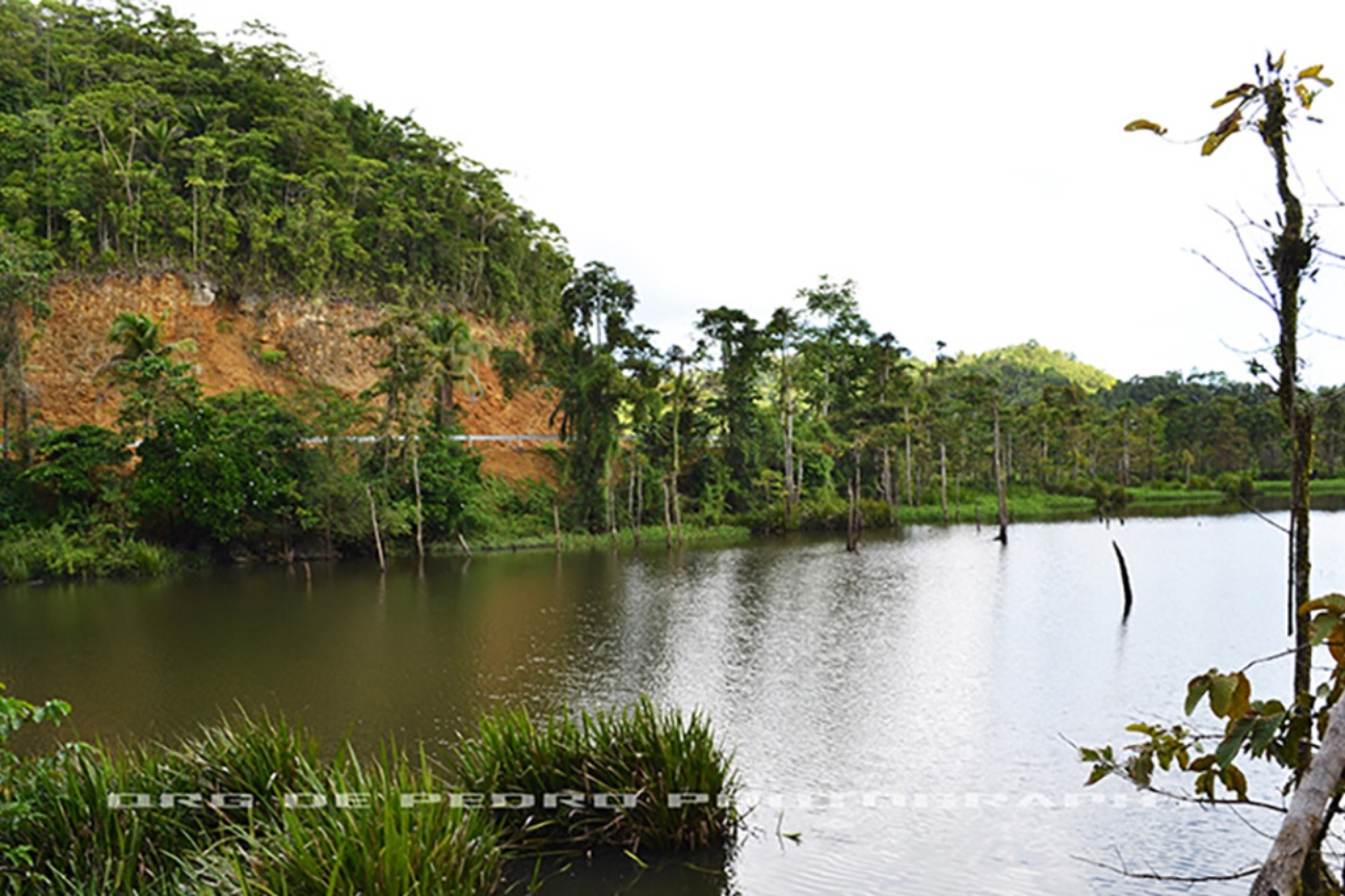 Siargao Essential Land Private Tour