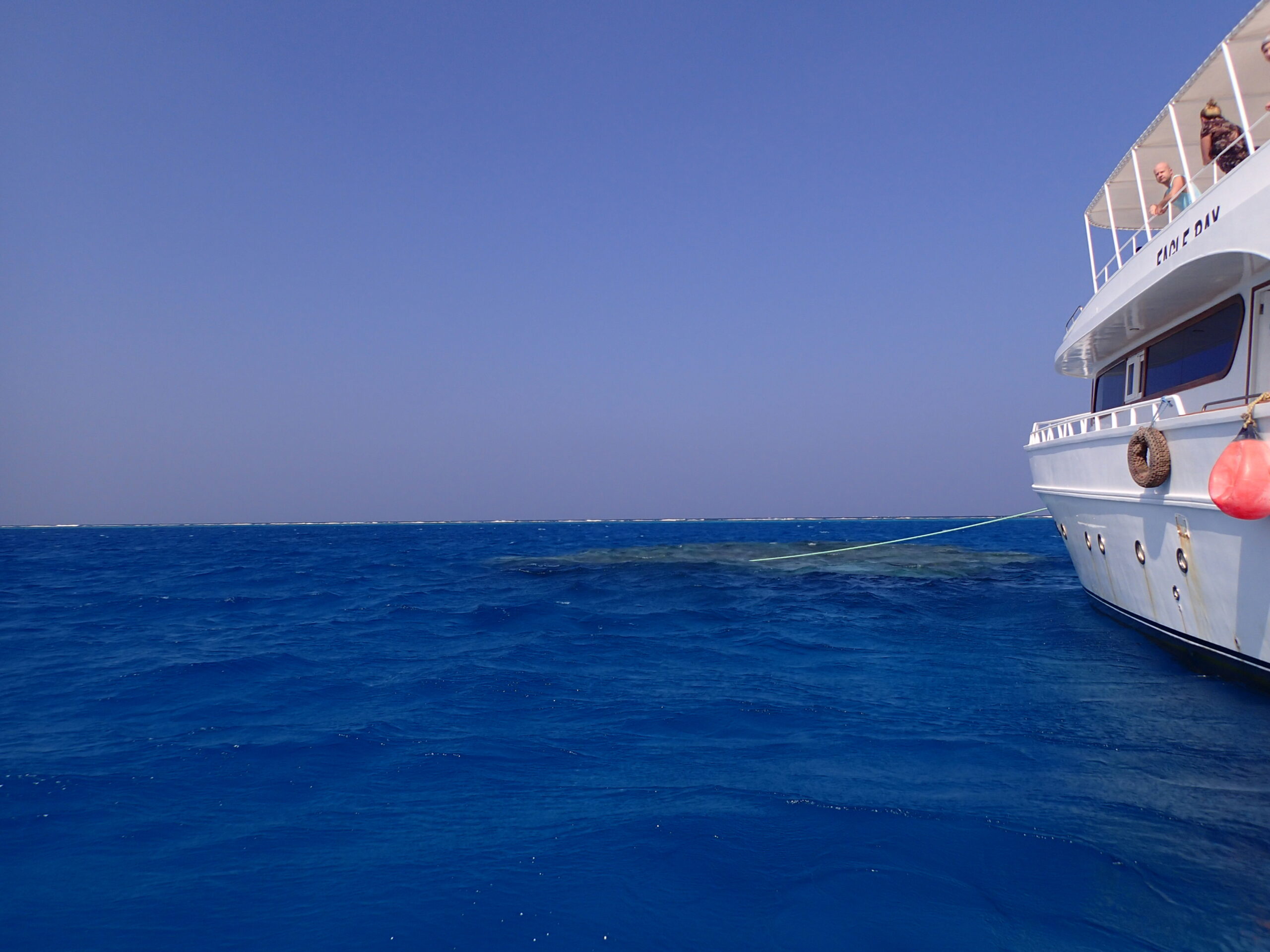Sataya Dolphin House Boat tour with lunch 
