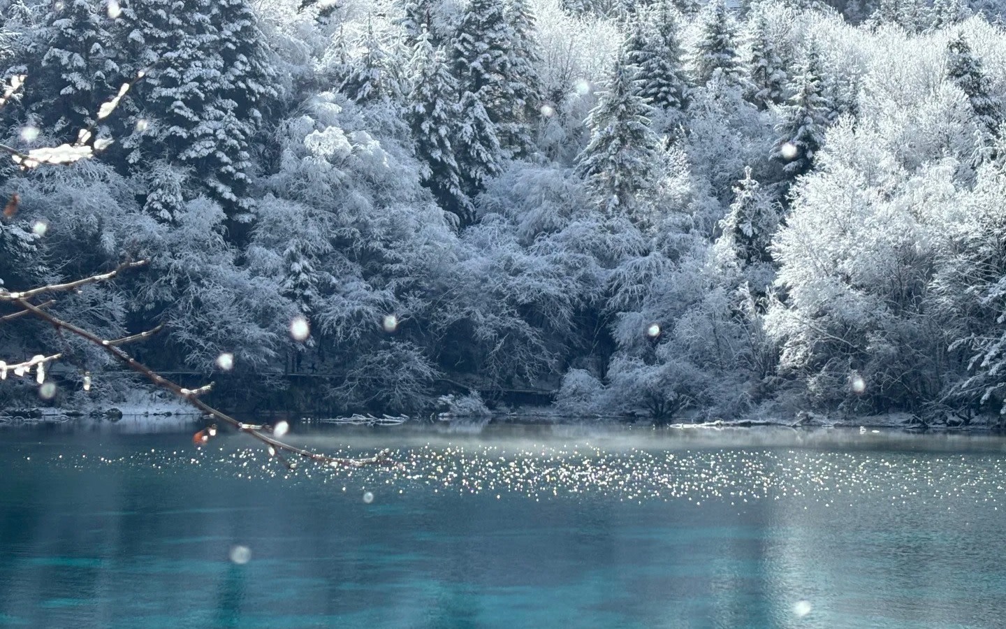 4-Day 3-Night In-depth Tour of Jiuzhaigou, Sichuan 