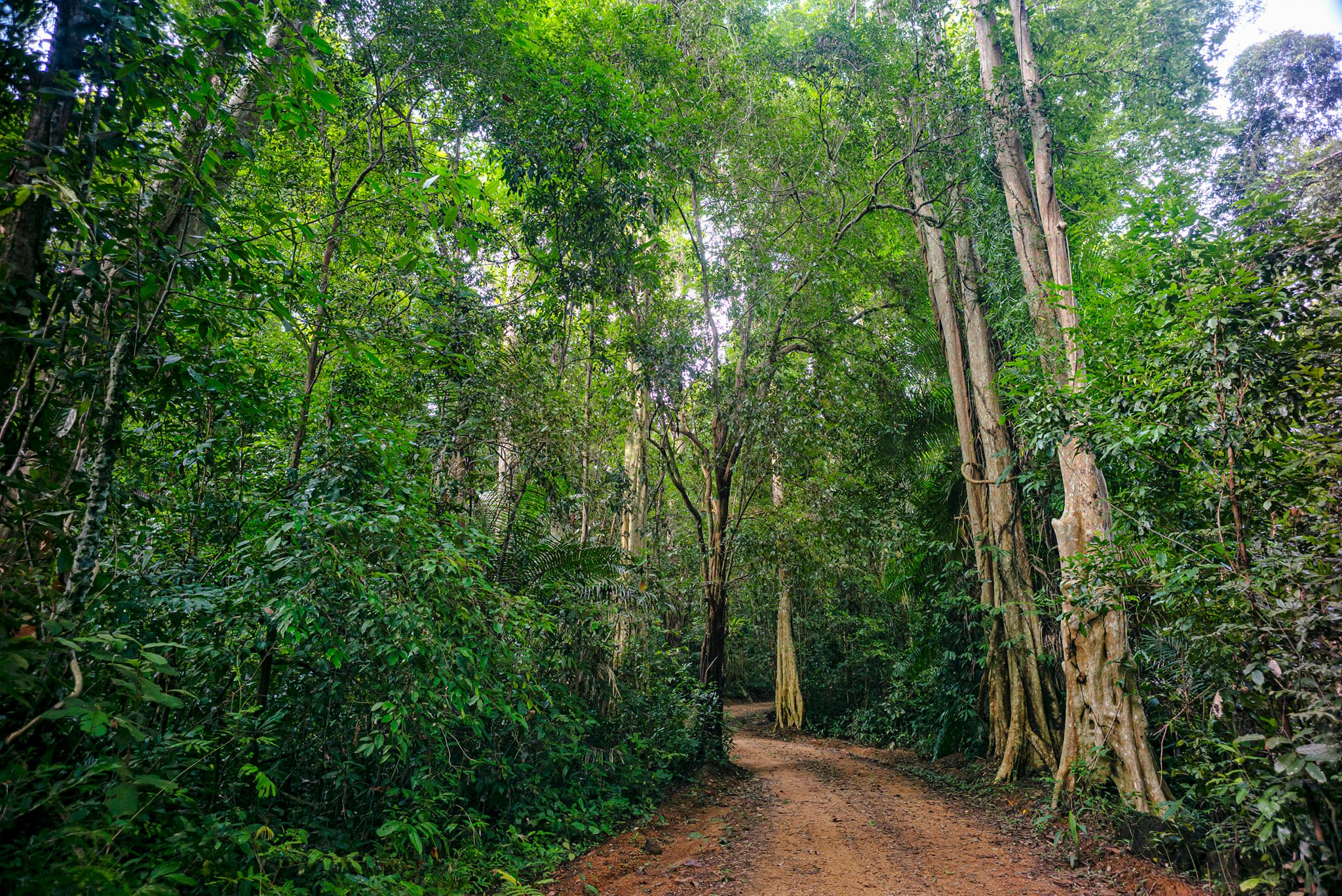 Cat Tien National Park Jungle Day Tour from Ho Chi Minh City