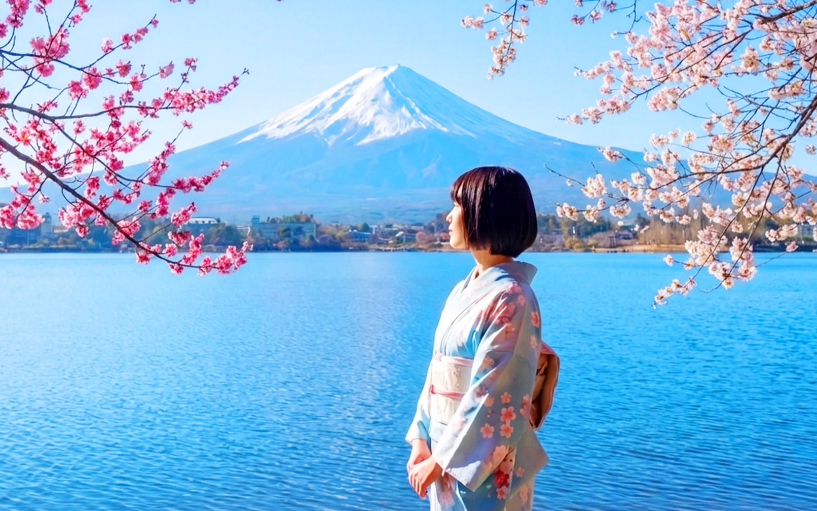 Mount Fuji 5th Station Autumn Foliage One-Day Tour: 5th Station & Oshino Hakkai & Lake Yamanaka Swan Feeding & Lake Kawaguchi Oishi Park/Lake Kawaguchi Maple Corridor (Chinese and English services available)