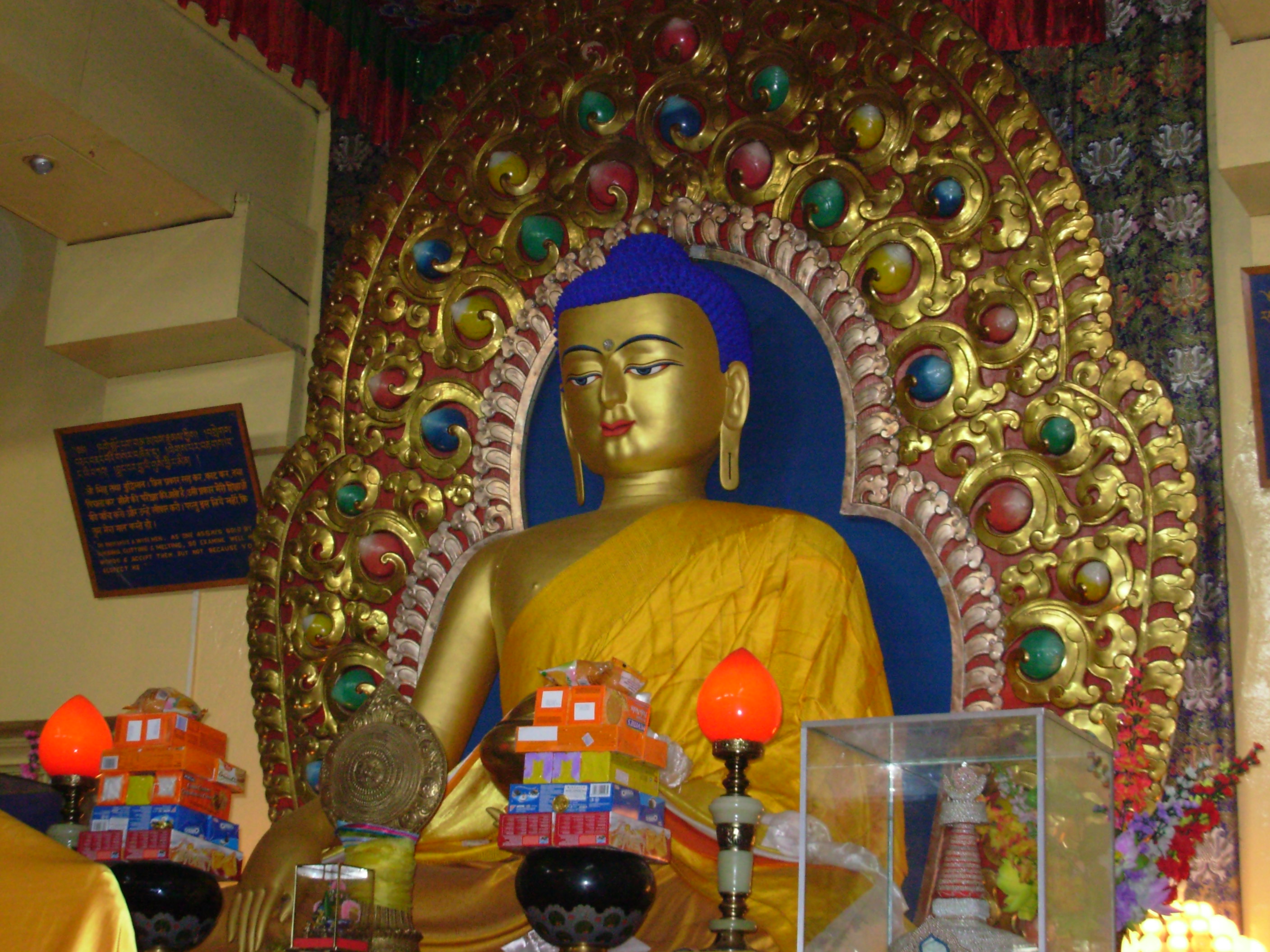  Full Day Dharamshala Tour  