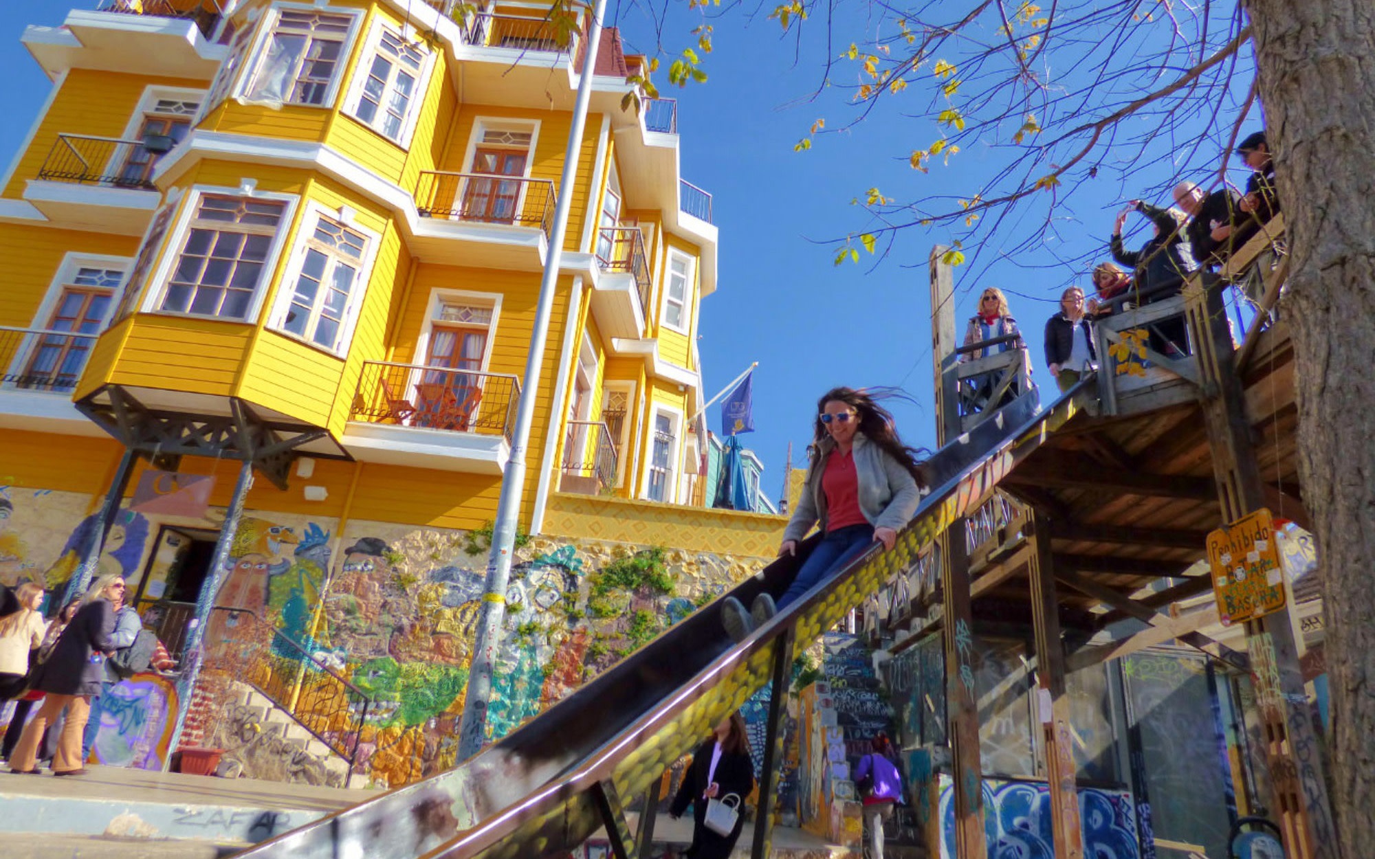 From Santiago: Vineyard, Valparaíso, Neruda Museum and Viña del Mar 