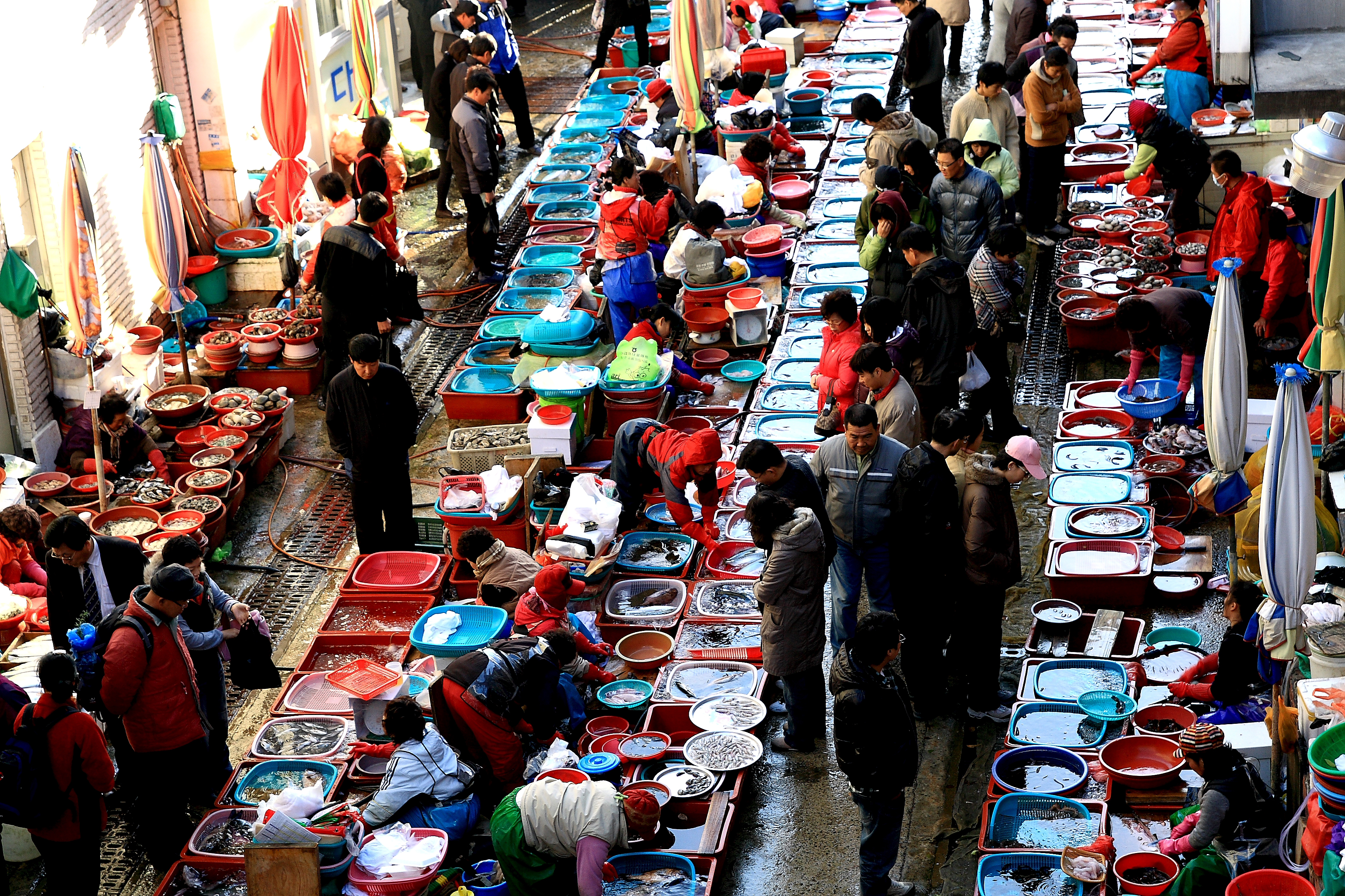 Tongyeong Day Tour