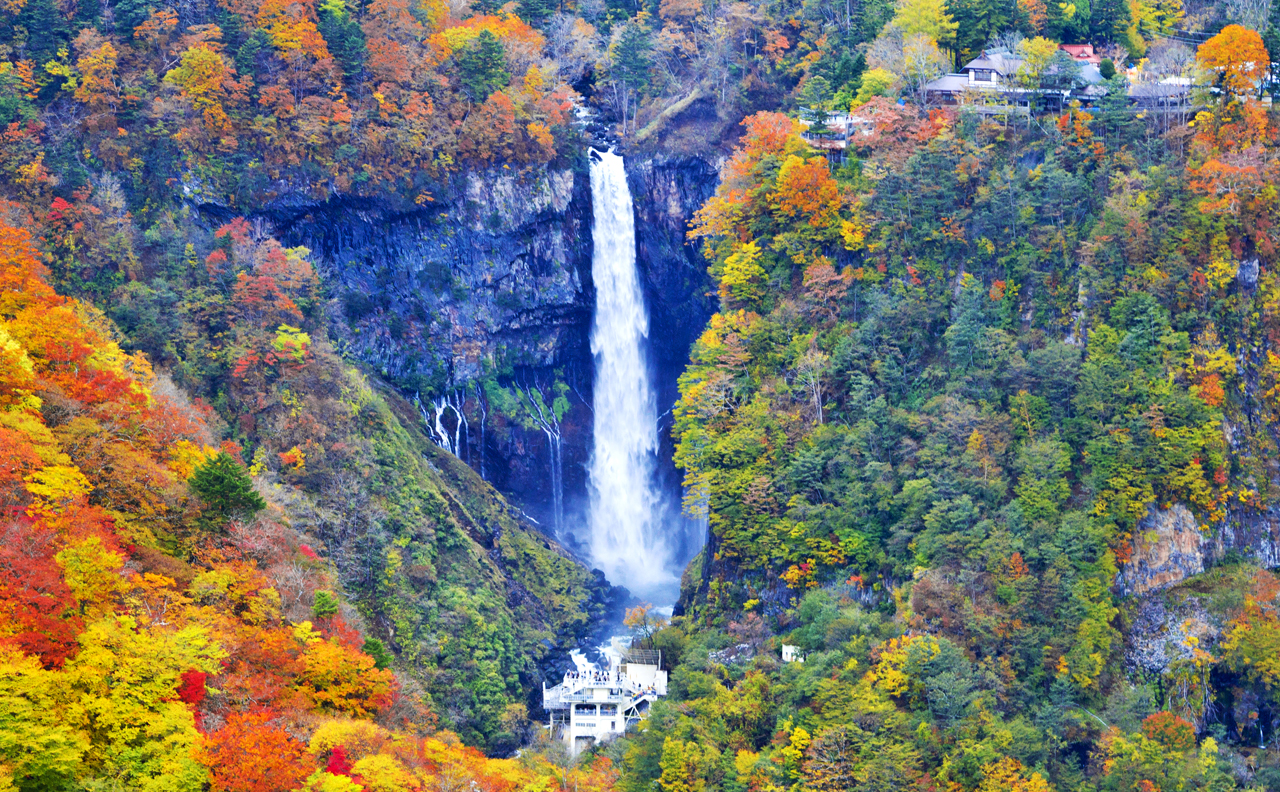 Tochigi and Nikko's secret mountain and water area｜Toshogu Shrine, Iroha Mountain Trail, Lake Chuzenji, and Kegon Falls Day Tour｜Depart from Tokyo/Shinjuku
