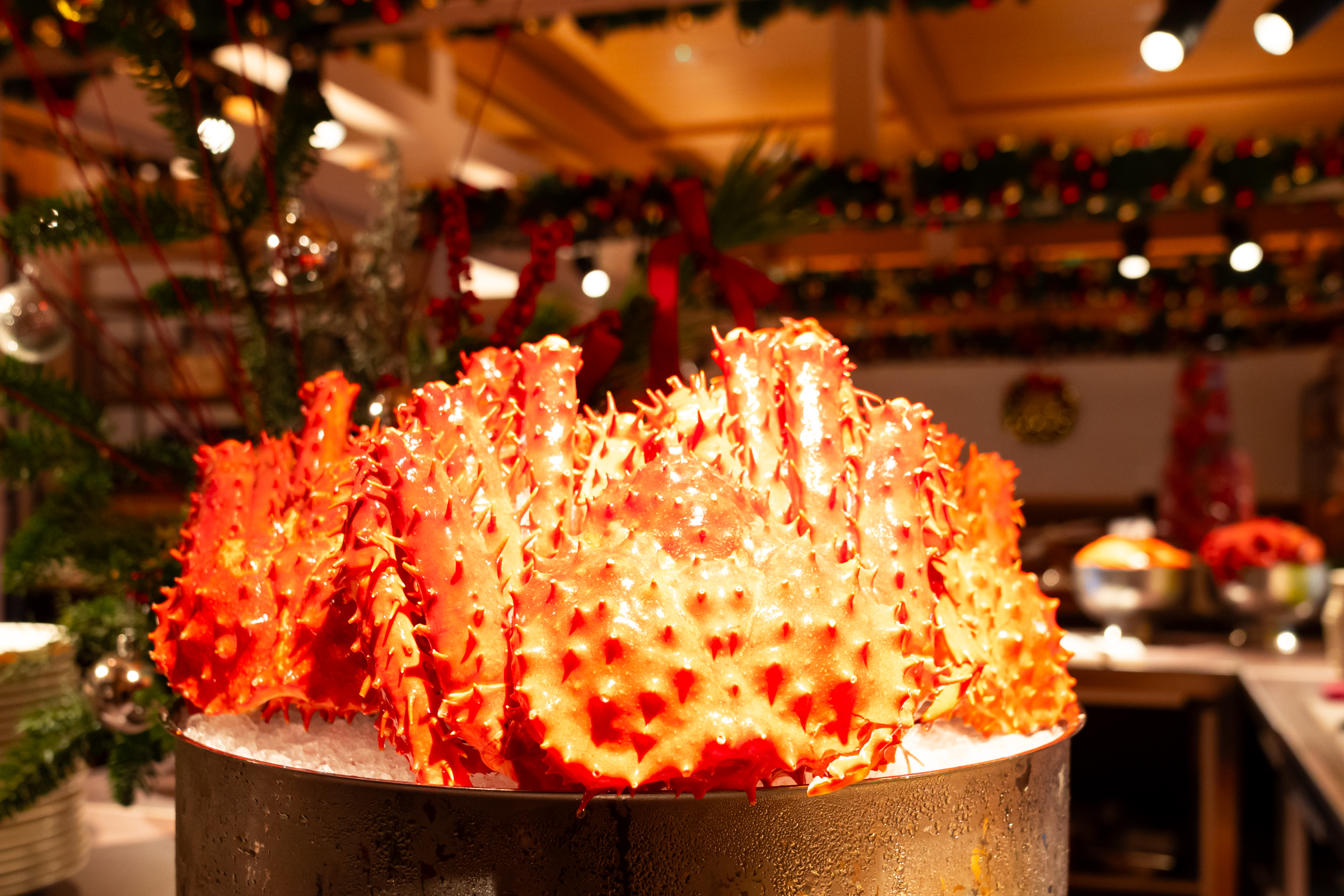 聖誕主題參考圖片