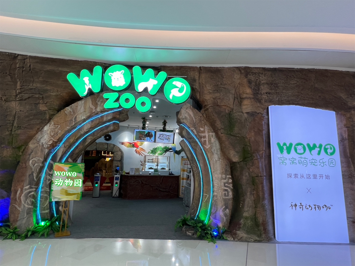 Shenzhen WOWO cute pet paradise (Baoan Daqianli store) can be touched, hugged and fed