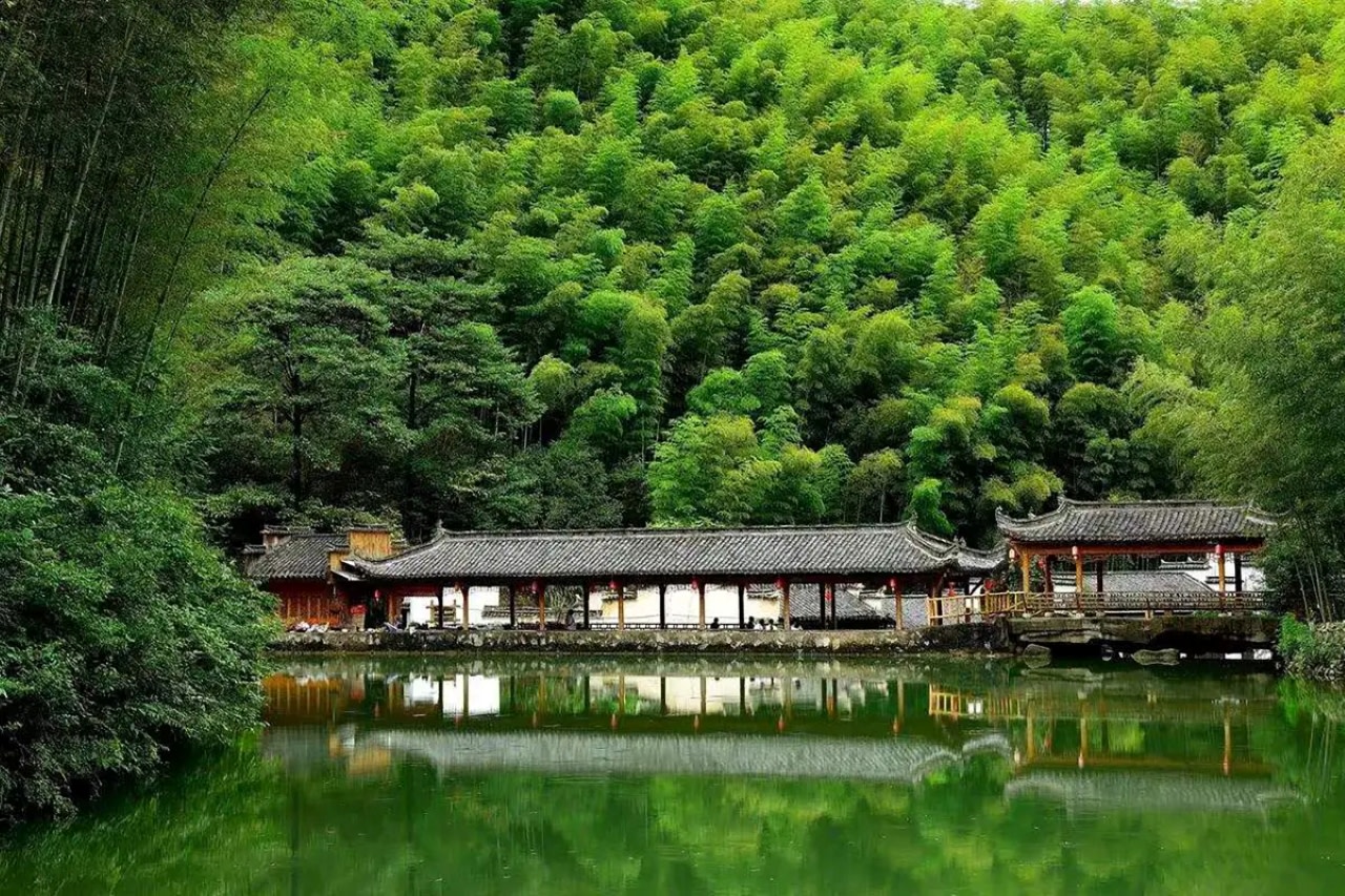 The Mukeng Bamboo Sea