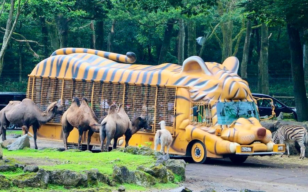 [Must-Do for Families] Fuji Safari Park × Oshino Hakkai × Oishi Park | See Animals Up Close - Day Trip to Mount Fuji (From Tokyo)
