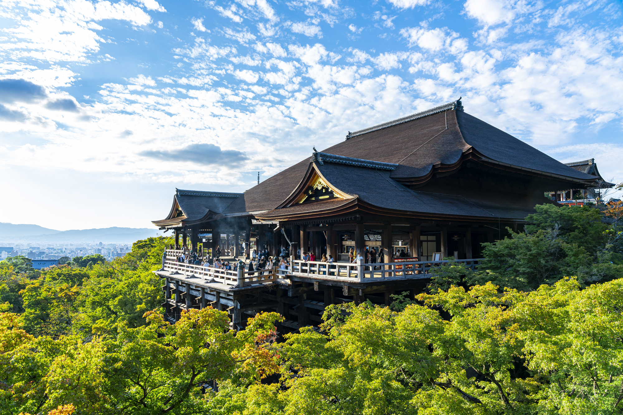 清水寺是京都著名的佛教寺廟，以其可飽覽全景的宏偉木質舞臺和歷史悠久的無釘建築而聞名。它是聯合國教科文組織世界遺產，也是日本文化遺產的象徵。
