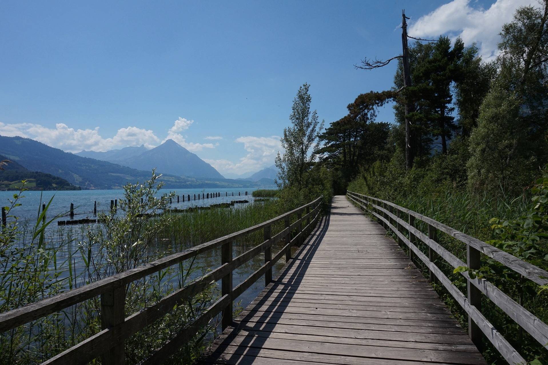 Interlaken 60-Minute Walking Tour with a Local