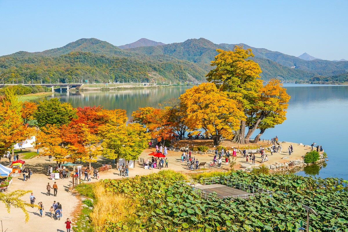 秋天有著薄霧繚繞的早晨和溫暖的色調。冬天則創造出寧靜而富有詩意的景觀。