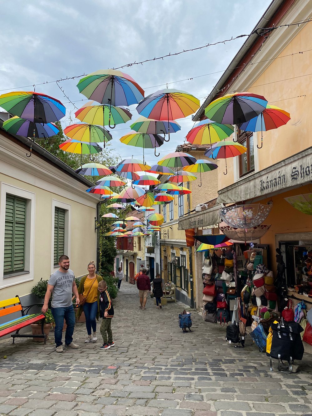Szentendre and Visegrad Private Tour (Lunch Included)