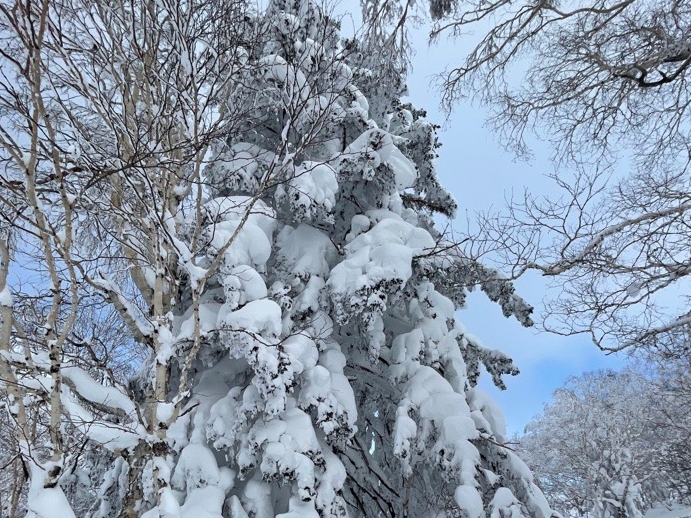 北海道札幌中級滑雪體驗課程