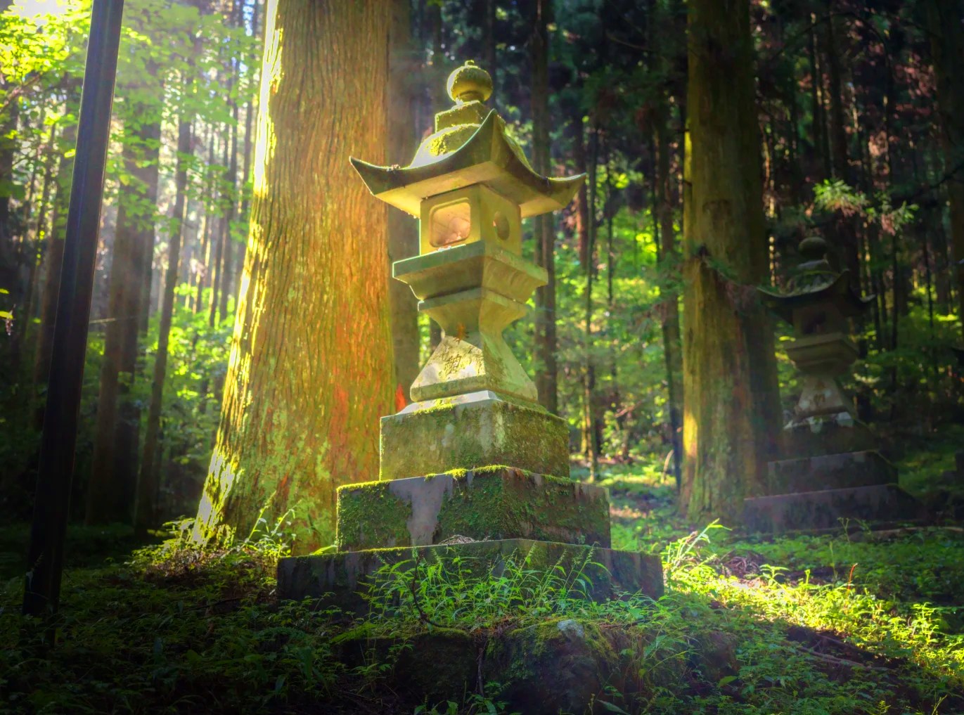 【暑期特惠】九州避暑之旅 | 上色見熊野神社&阿蘇山草千里&黑川溫泉(熊本/福岡出發)