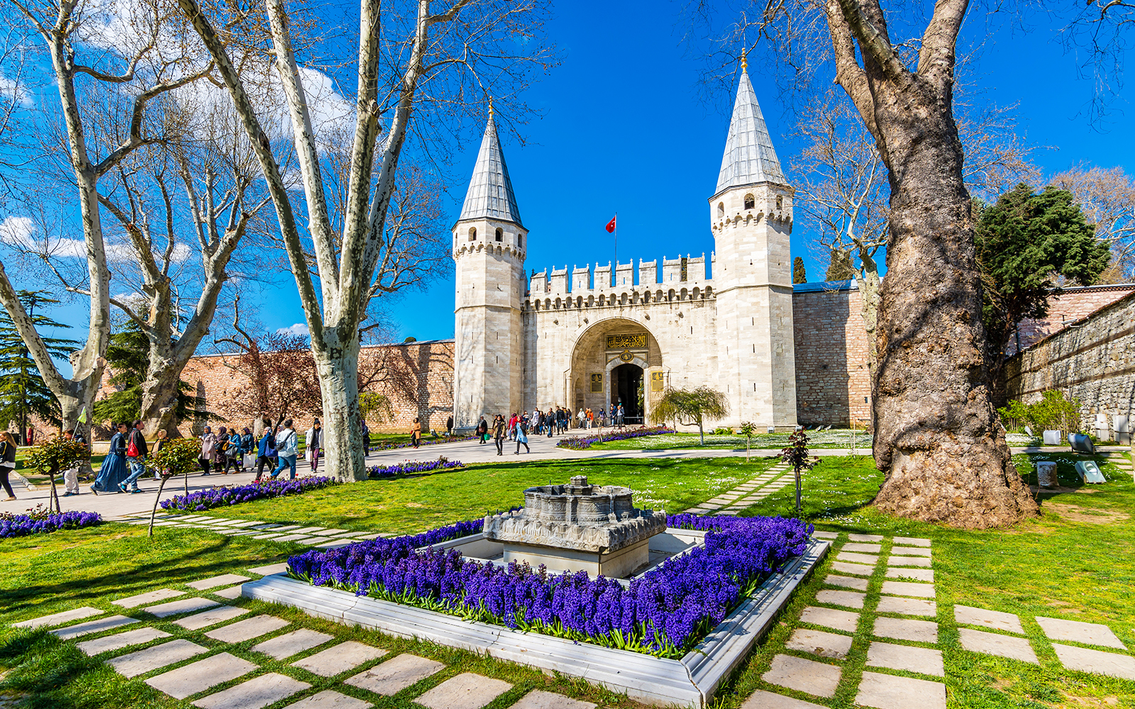 Istanbul: Full-Day Highlights Tour with Guide and Lunch