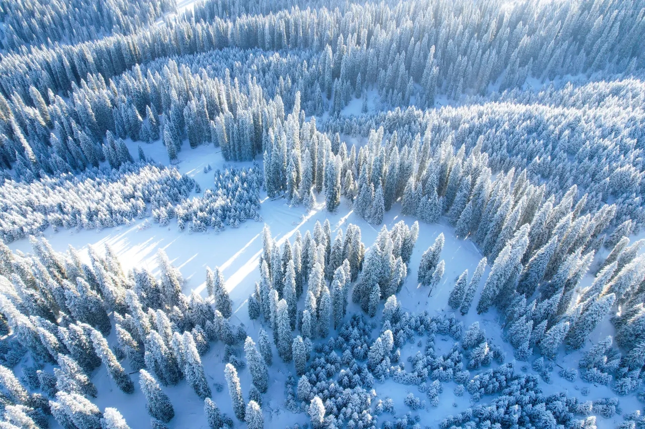 【小微管家】早09:30-晚22:00極致服務,時刻待命,解決突發事件;30分鐘內給予有效解決問題方案;溫馨小貼士,提前告知前方實況 【小微管家】早09:30-晚22:00極致服務,時刻待命,解決突發事件;30分鐘內給予有效解決問題方案;溫馨小貼士,提前告知前方實況