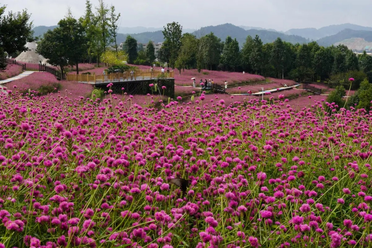 Yangchang Flower Painting Town
