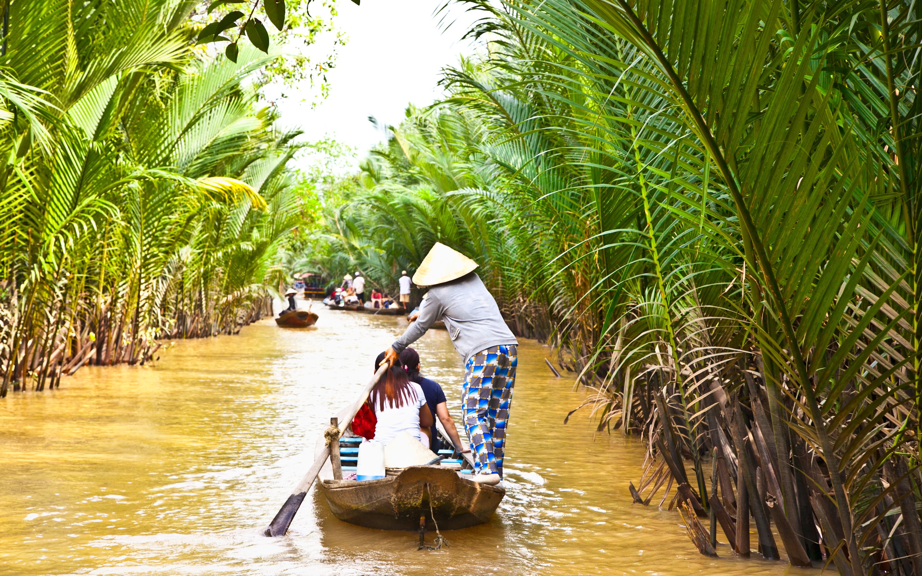 Mekong Delta VIP Tour with Limo Transfer & Sampan Journey