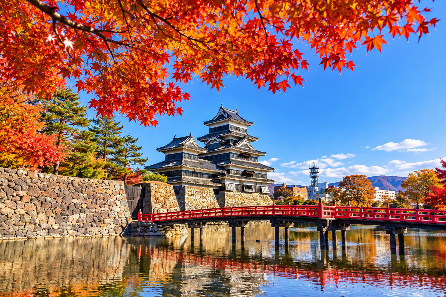 Tokyo Zenko-ji and Matsumoto Castle Day Trip
