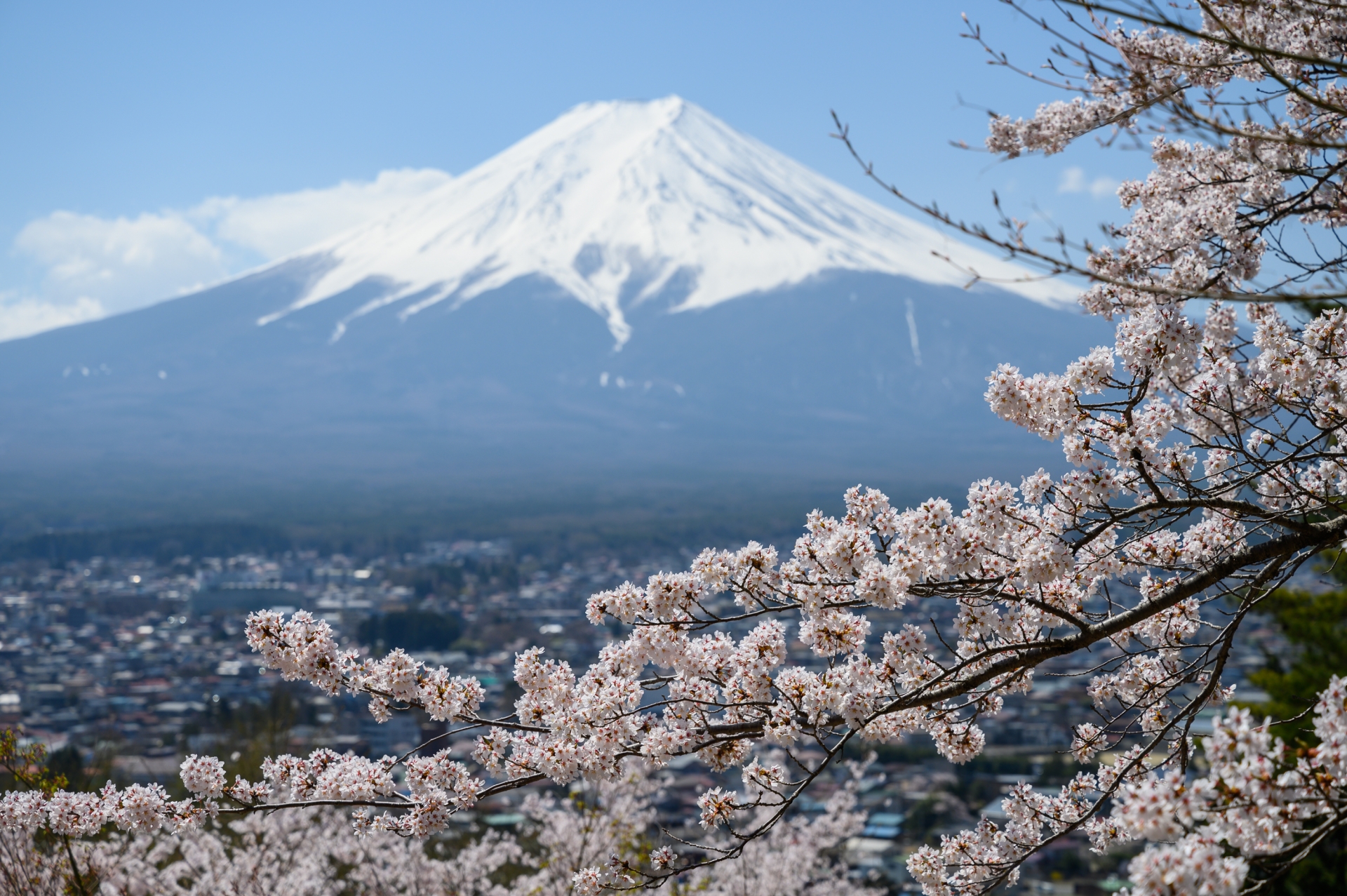 Mt. Fuji & Lake Kawaguchi Tour from Tokyo (with lunch option)