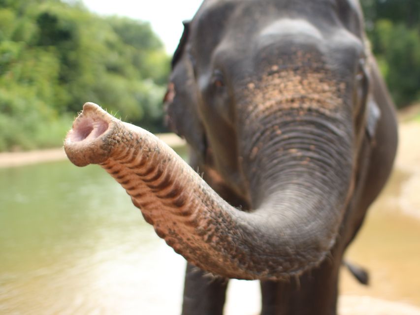  Join-in Wang Khiang Khu Waterfall and Bamboo Rafting From Krabi 