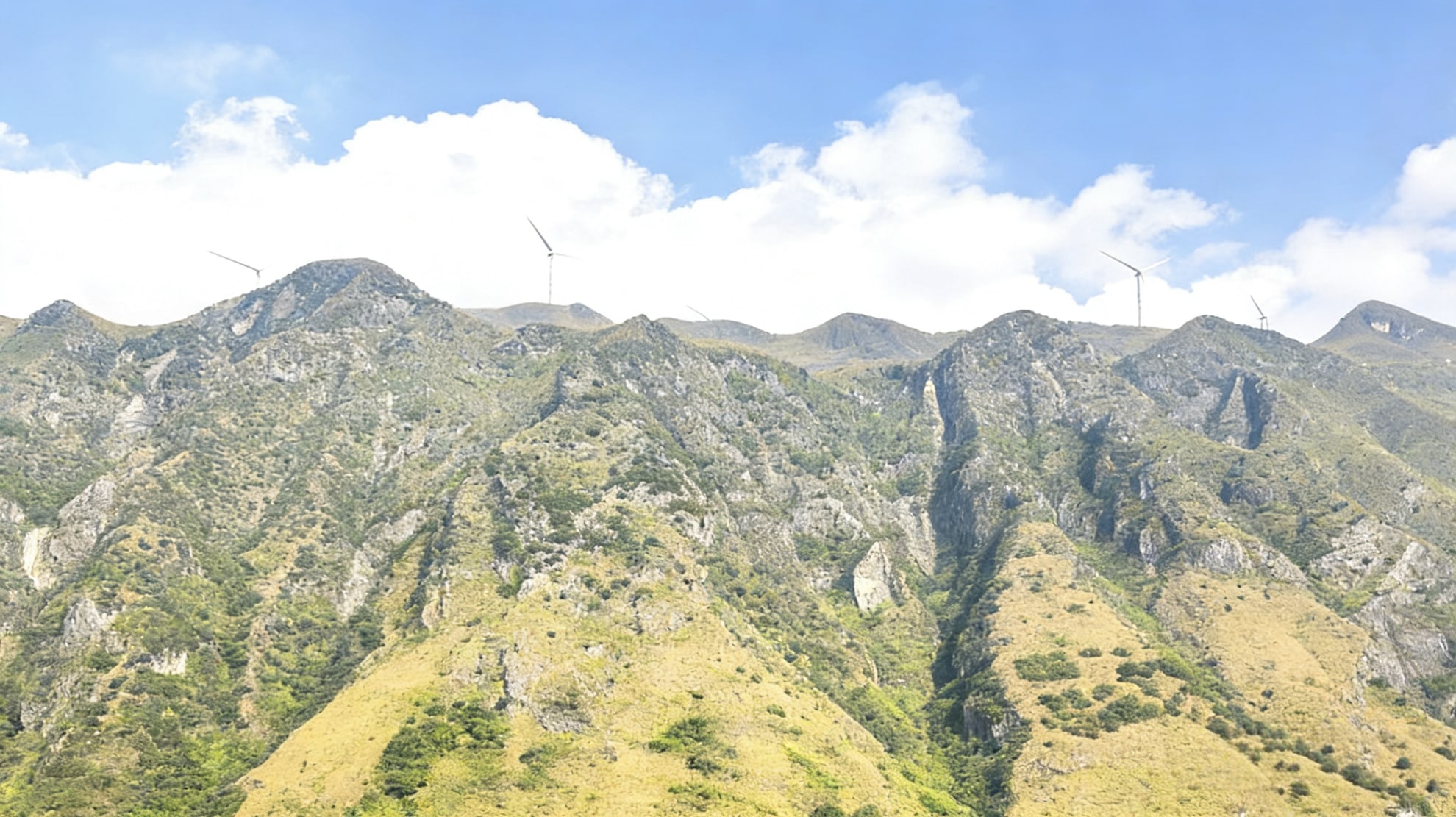 野性的輪廓裡,藏著山野與現代的溫柔碰撞 野性的輪廓裡,藏著山野與現代的溫柔碰撞