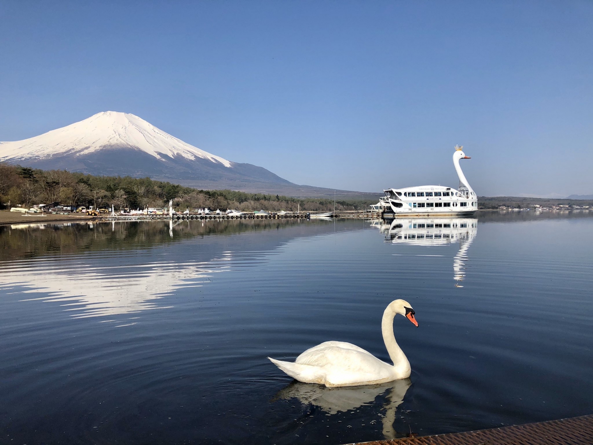 【富士山羅森便利店打卡及雙湖一日遊】 -富士山洞窟鳴澤冰穴, 河口湖，山中湖(上野或新宿出發  午餐可選神戶牛肉涮涮鍋定食)