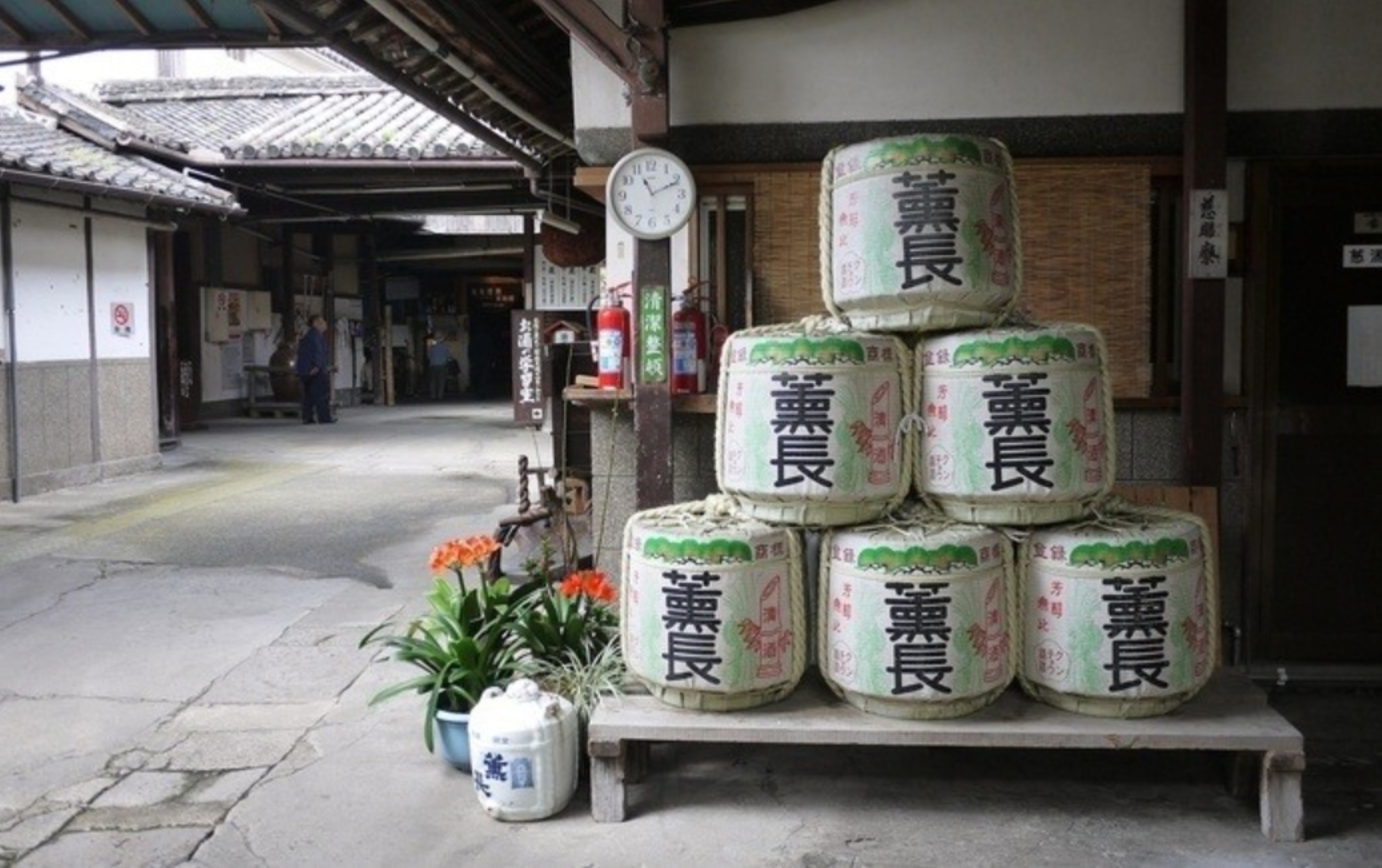 One-Day Trip to Oita, Kyushu, Japan | Yufuin, Beppu, and Hita Old Town Itinerary | Departure from Fukuoka