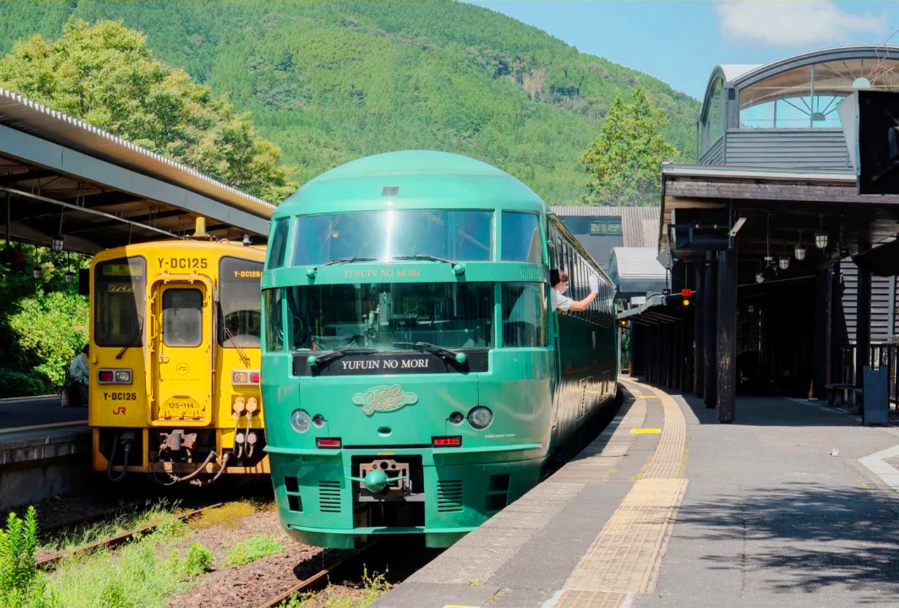 Yufuin Forest: