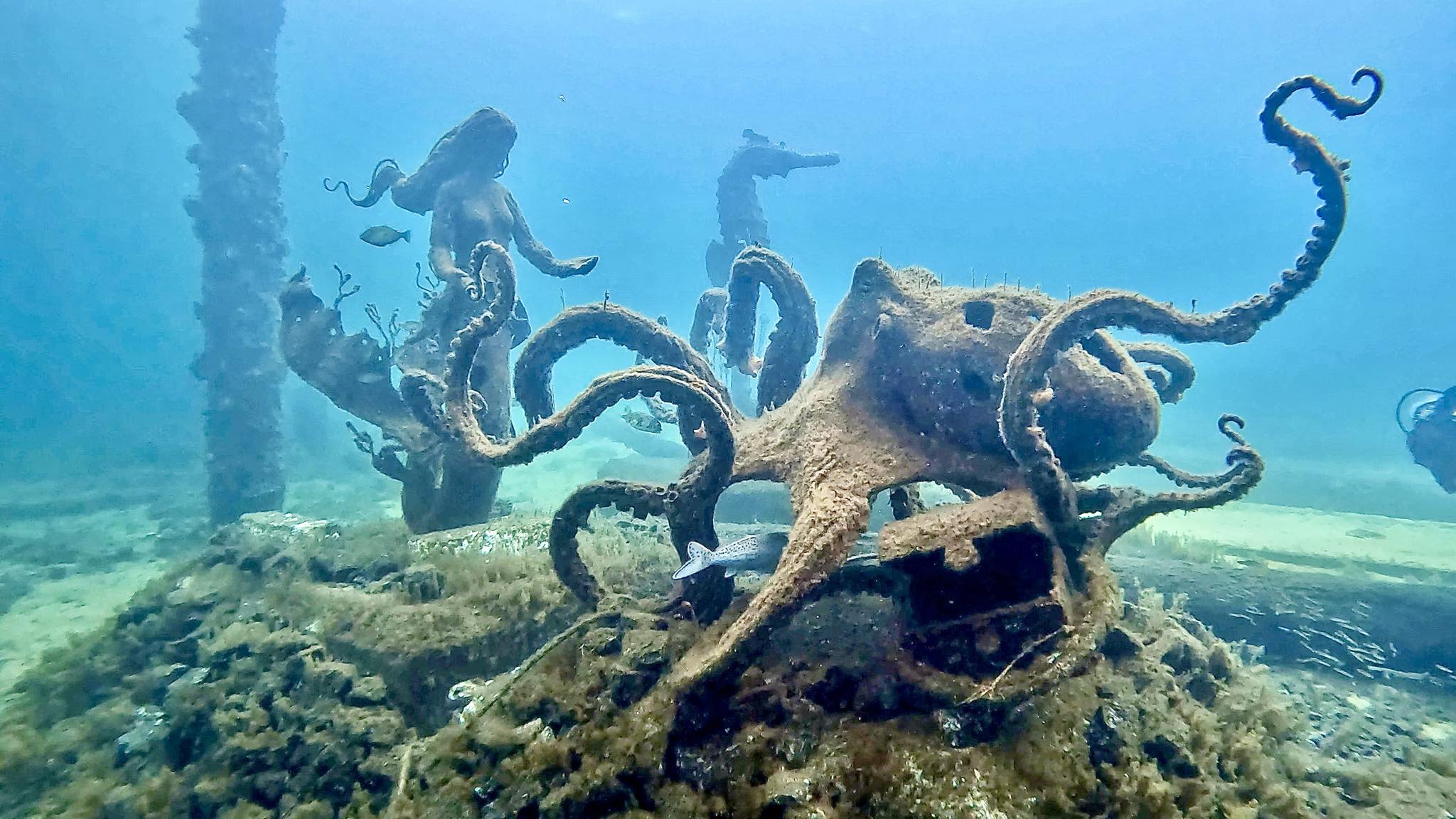 巴瑟尔顿码头雕塑浮潜步道之旅