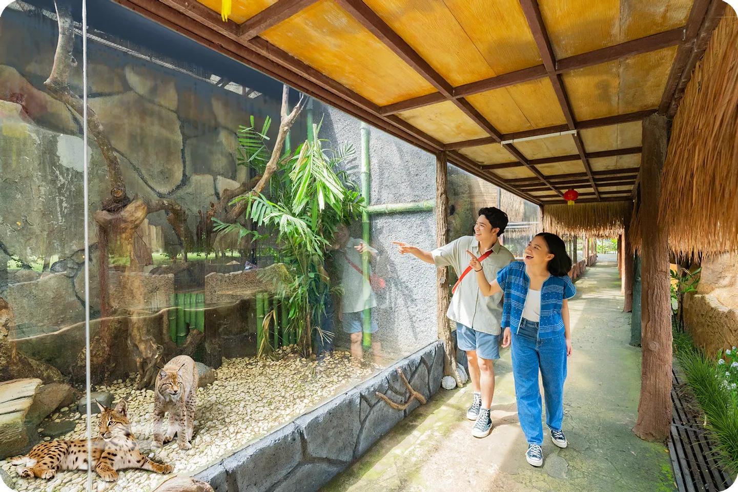 步入野性世界，立即預訂安佐爾動物園門票！