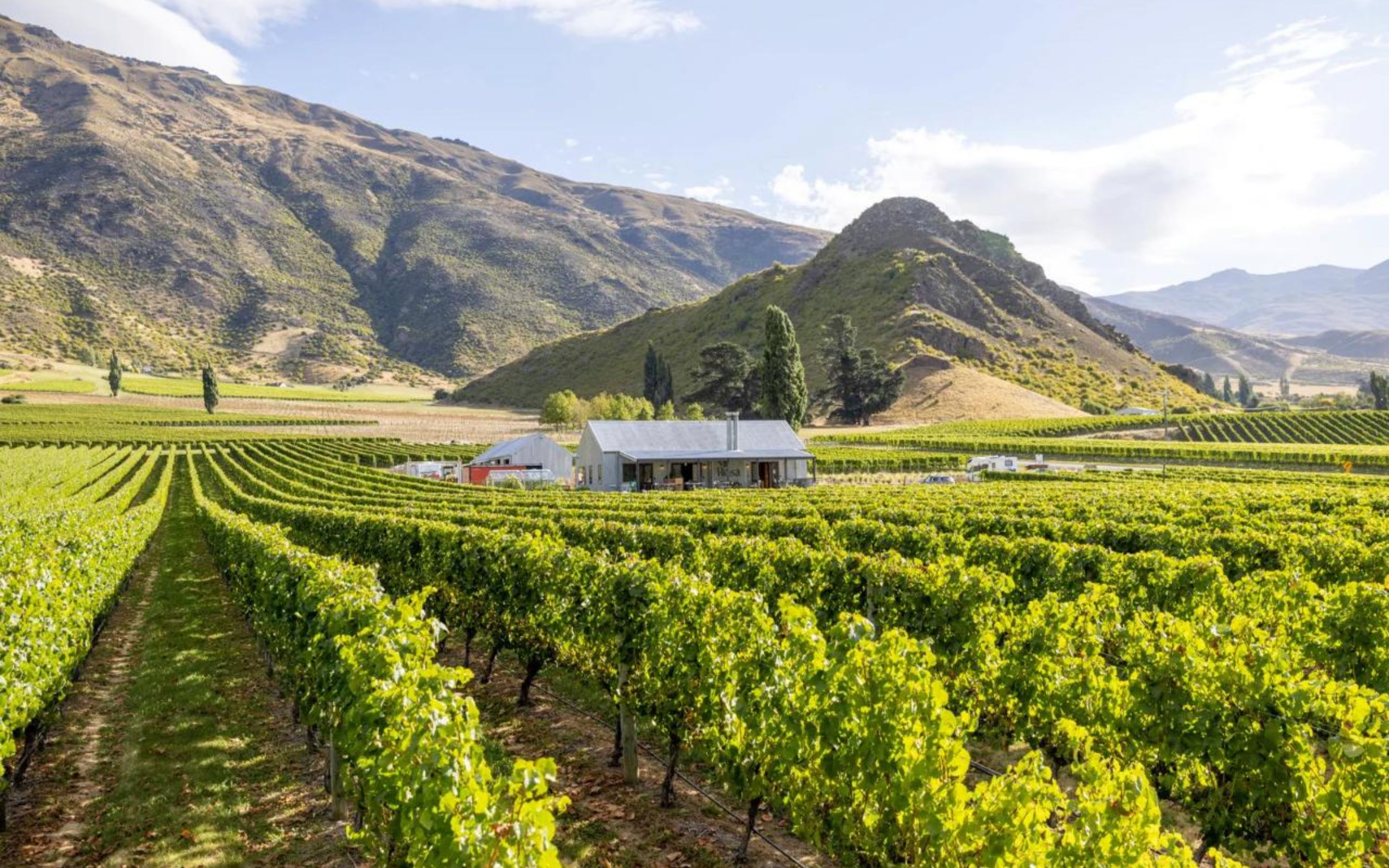 在探索皇后鎮令人屏息的壯麗景緻之際，盡情品嚐當地美酒與精緻美食。