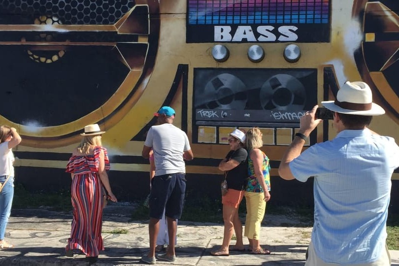 Wynwood Street Art Tour in Miami 4