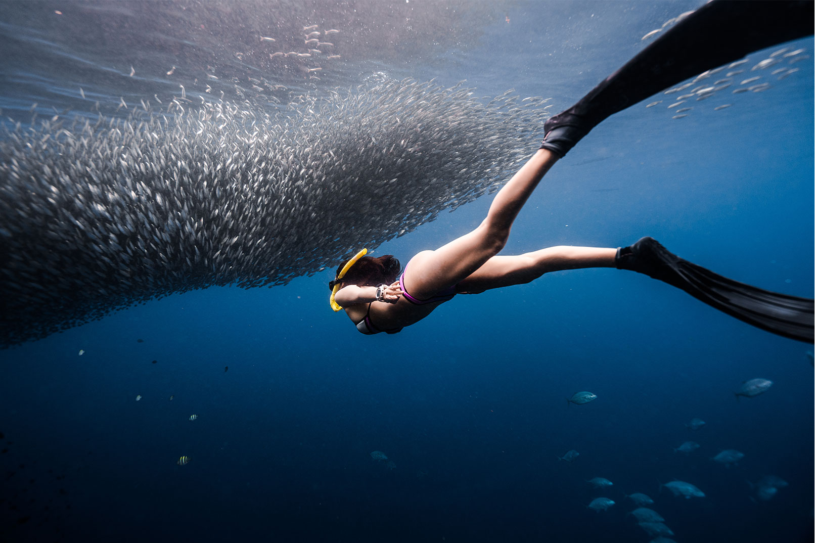 Discover Freediving: One-Day Introduction Experience