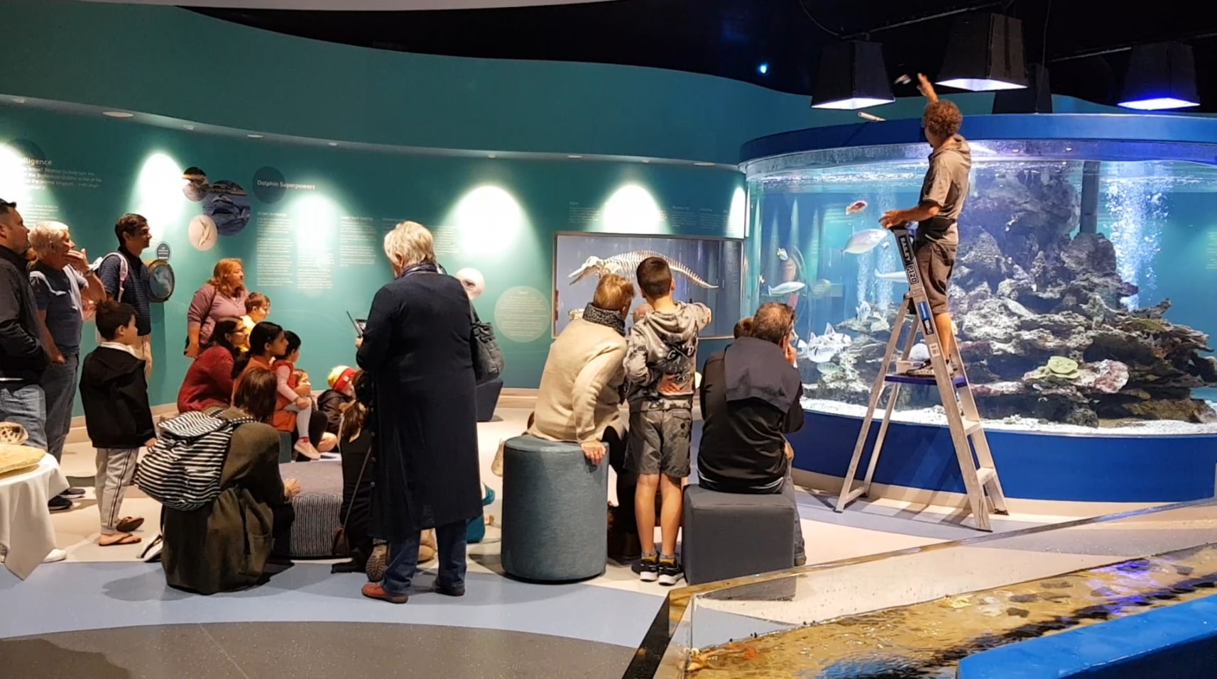 班伯利 Dolphin Discovery Centre 門票
