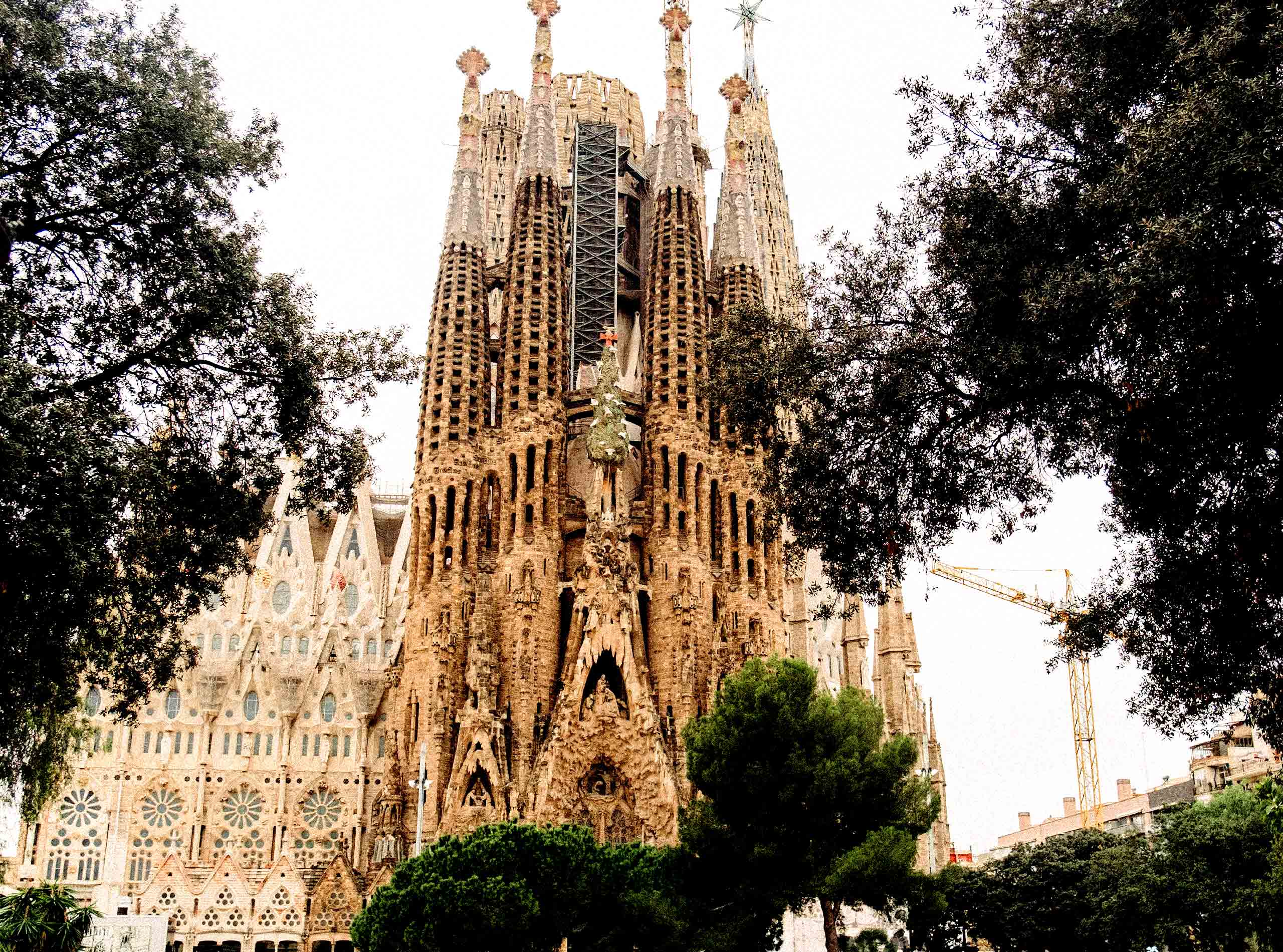 Lights and Shadows of the Sagrada Familia With Ticket And Guide