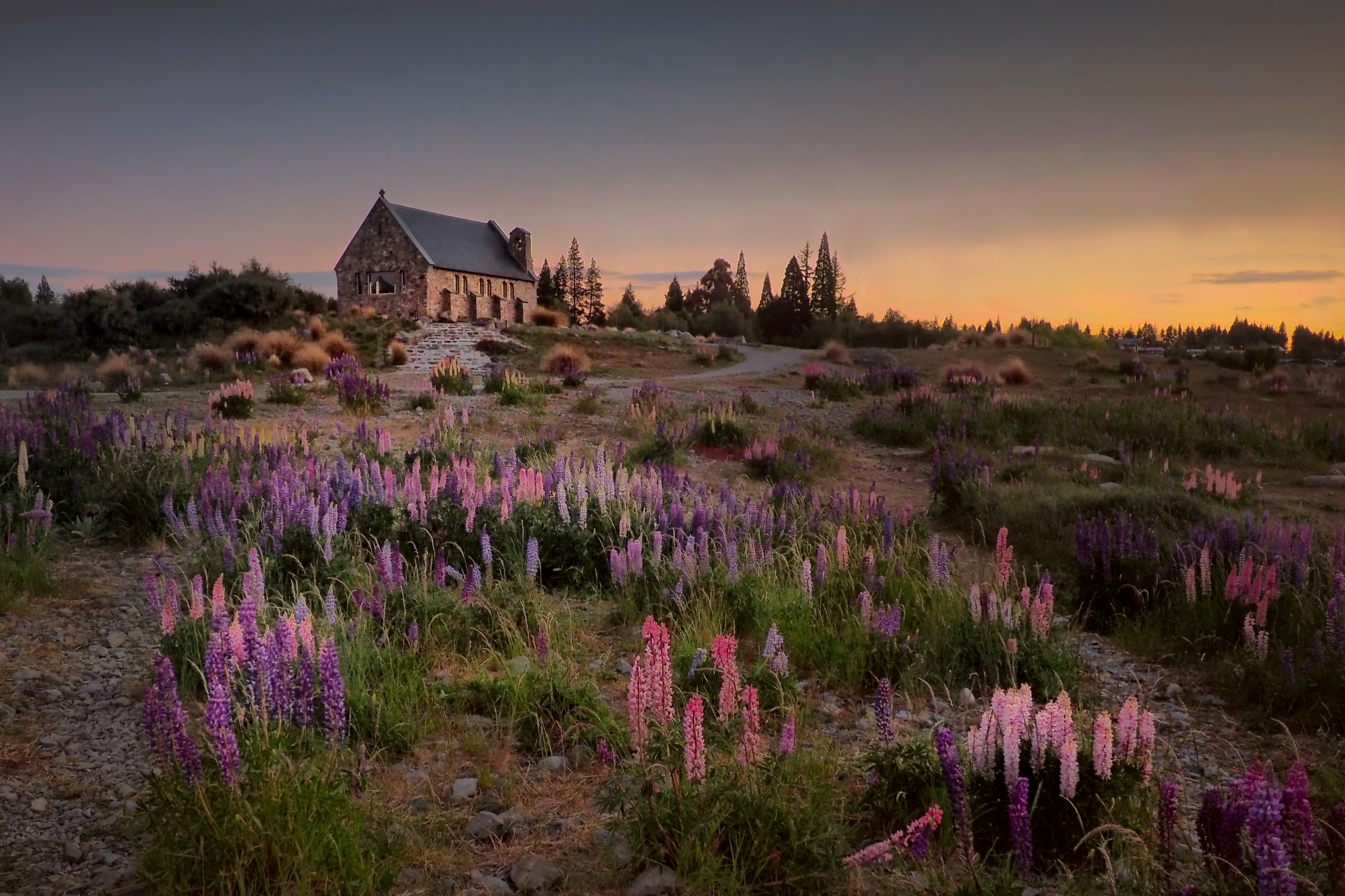 Christchurch to Tekapo One Way Small Group Tour