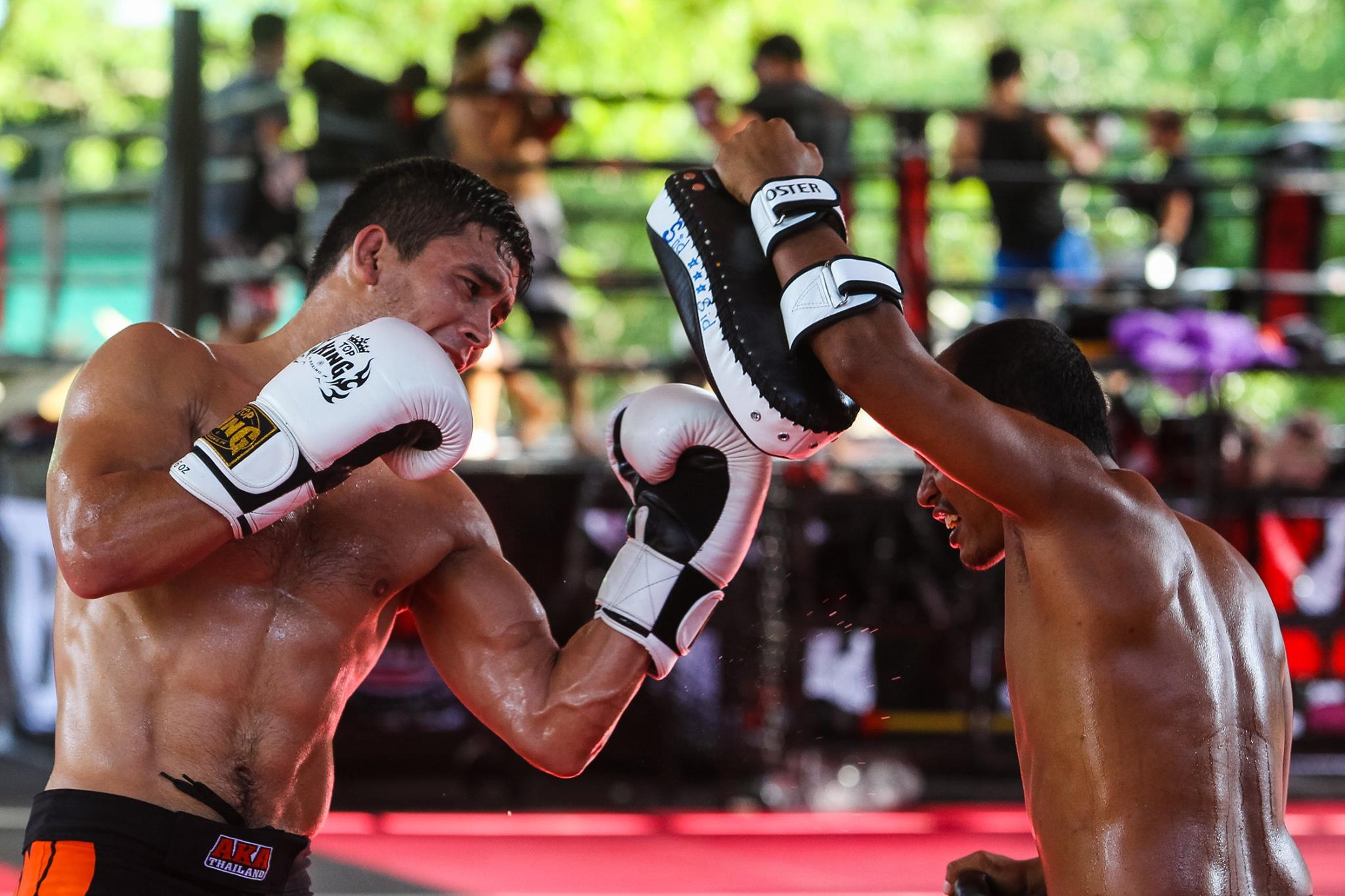 大城泰拳課程（Muay Thai Class in Ayutthaya by Sit Palan Muay Thai Gym）