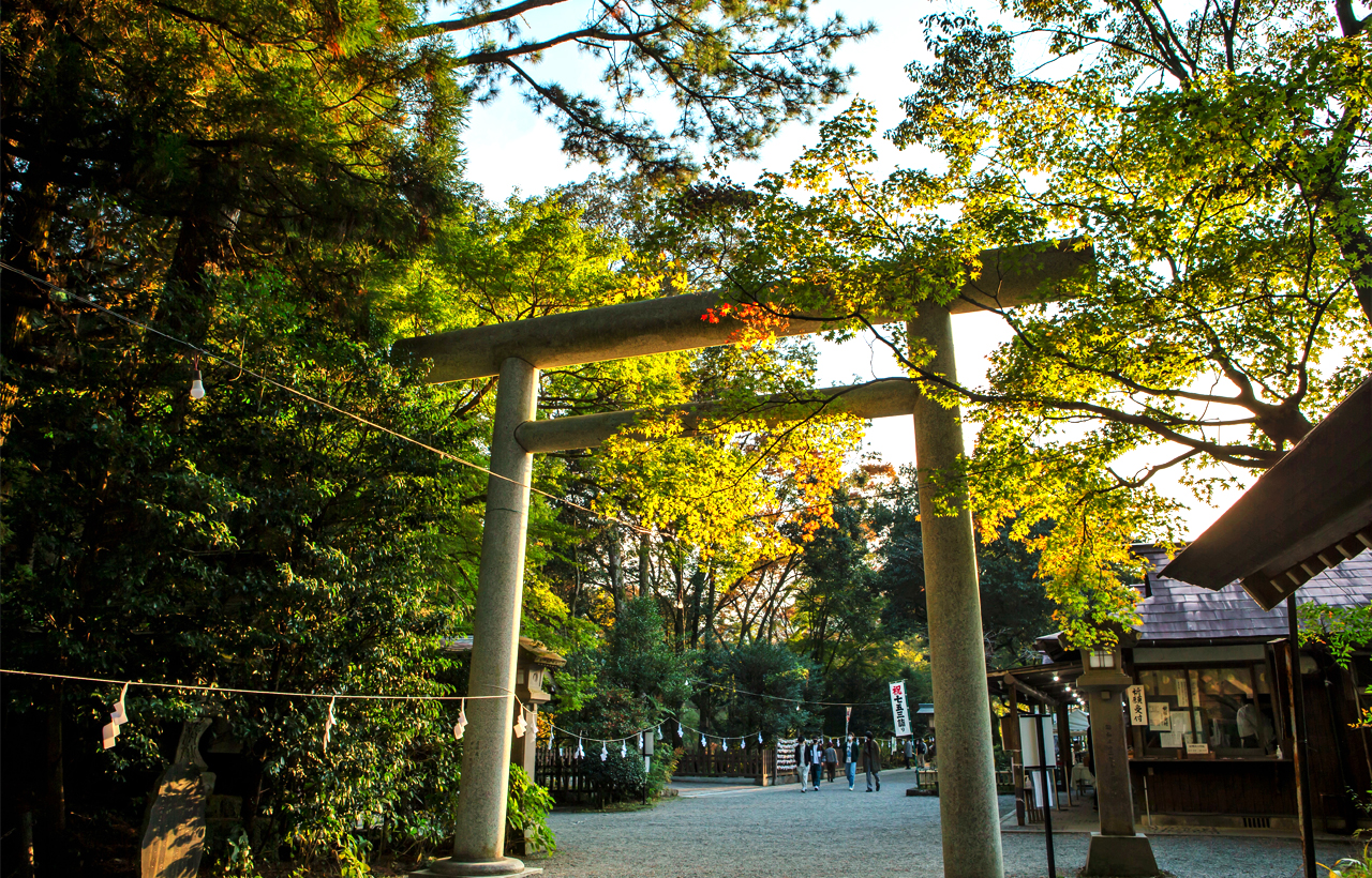 上色見熊野座神社＆高千穗峽＆天巖戸神社一日遊（福岡出發）