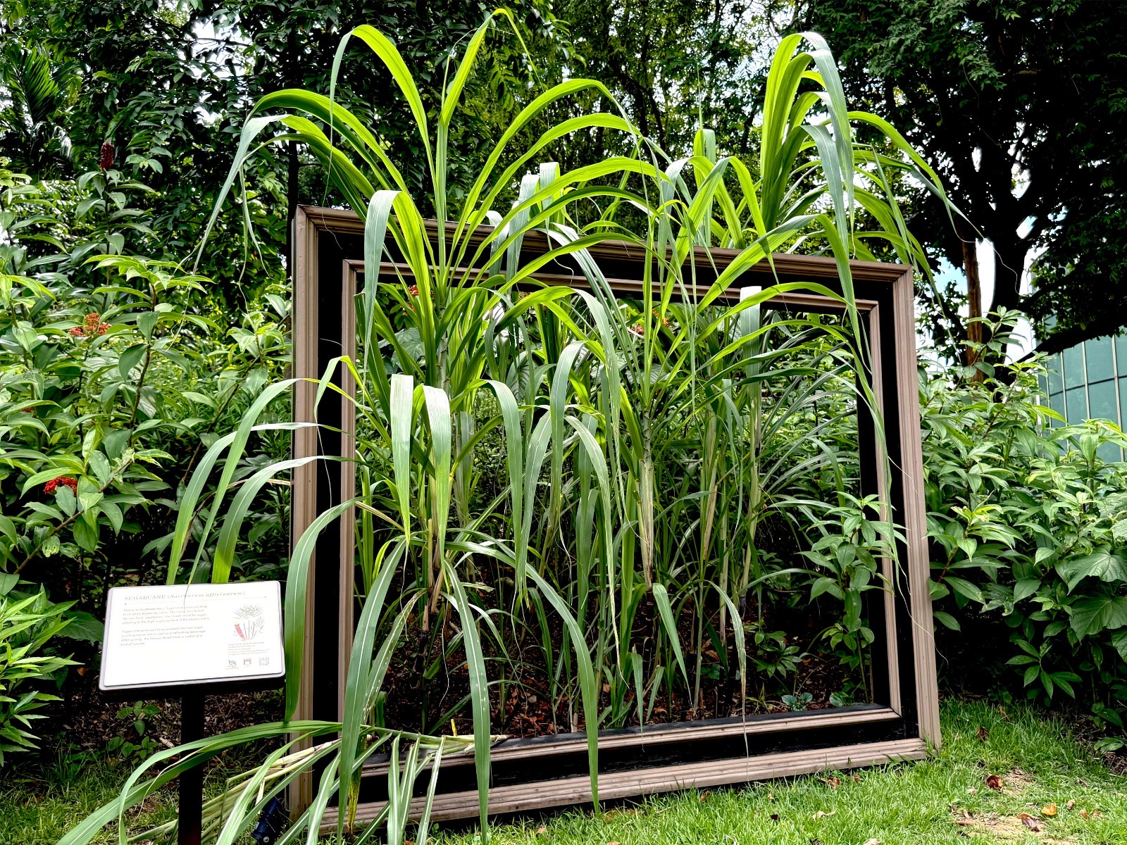  Nature Walking Tour Inspired by William Farquhar Collection