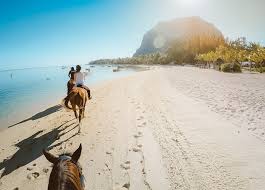 Mauritius Horse Riding Adventure with hotel pick up