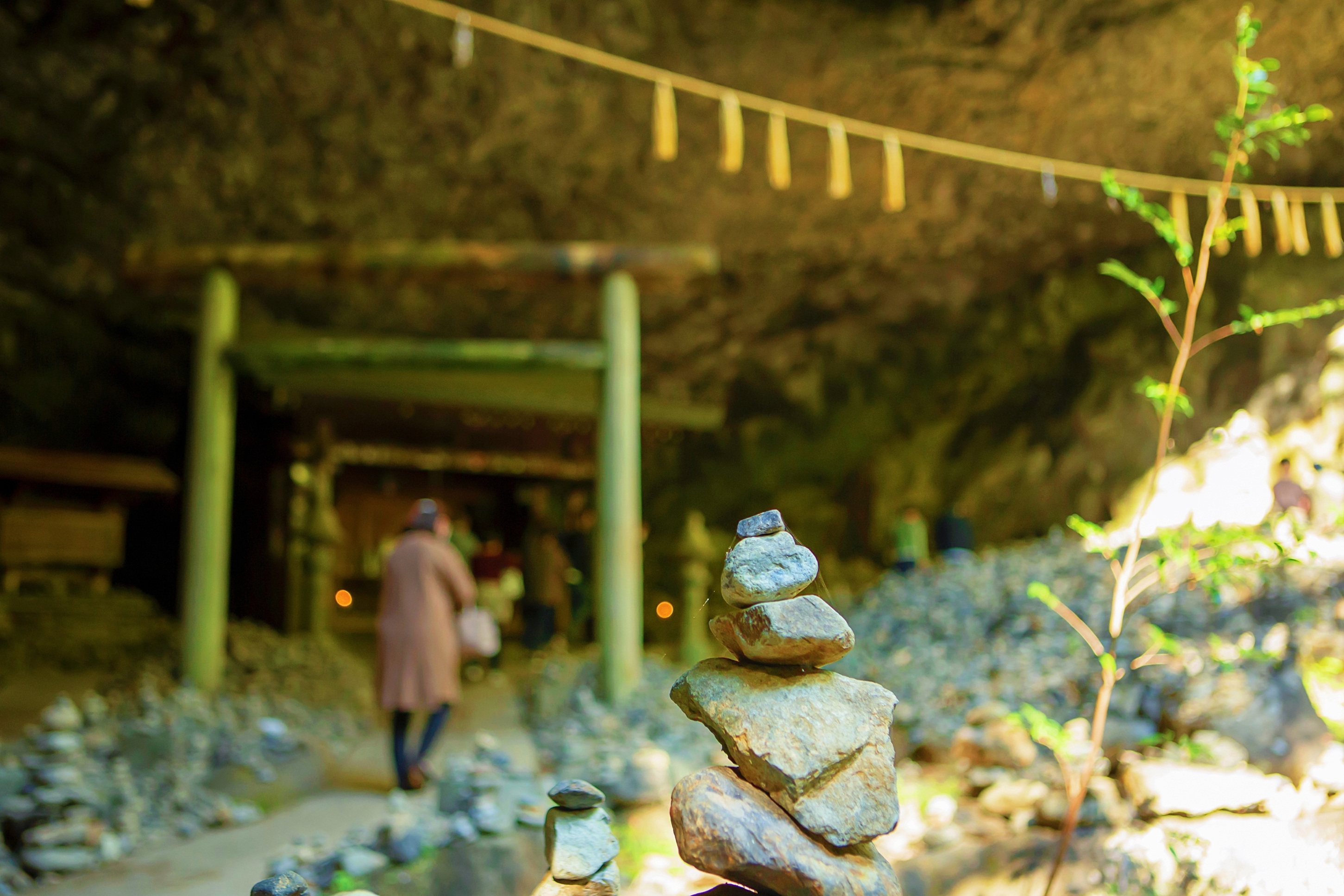 宮崎一日游（含特色牛肉午餐）高千穗+高千穗神社+天安河源    福岡出發/中英導遊