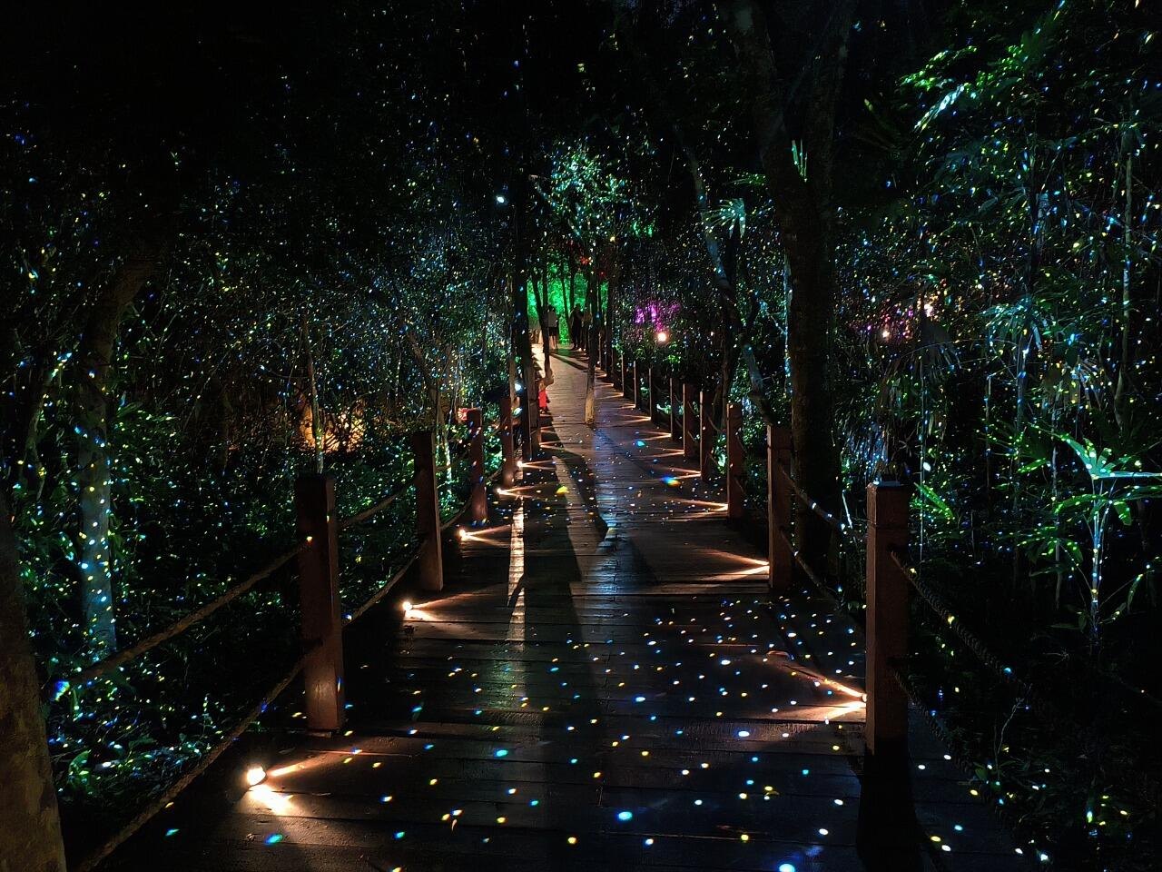 夜幕降臨後，這裡的夜景如夢如幻。鳳凰嶺會呈現大型沉浸式光影秀 “山海奇幻夜”，將山體、雕塑、花園與建築打造成夢幻舞臺，螢火燈點、流動光影與音樂營造出奇幻的氛圍