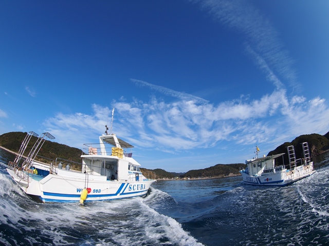 License holders' Diving Experience In Wakayama