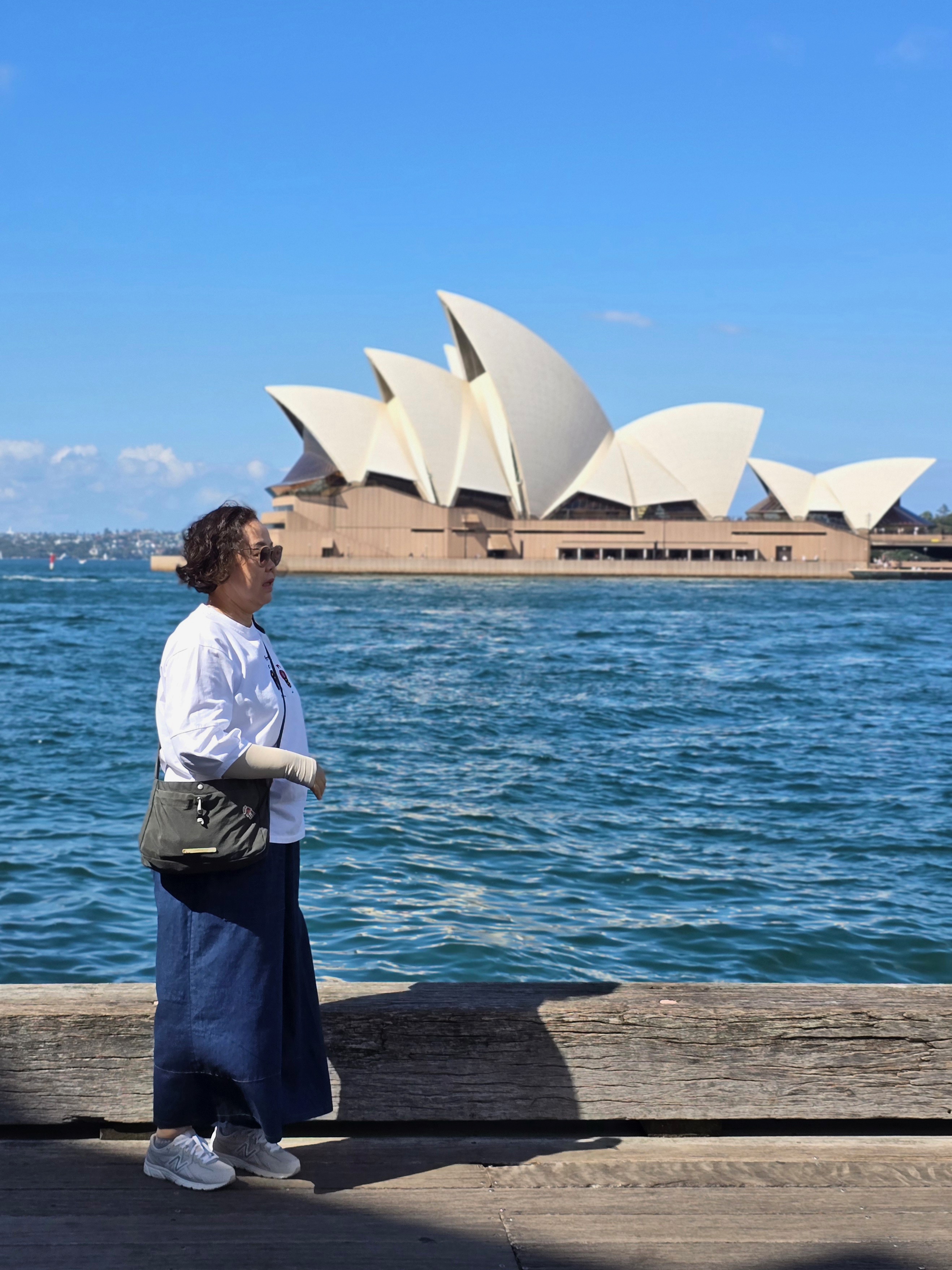 Sydney Icons Private Tour