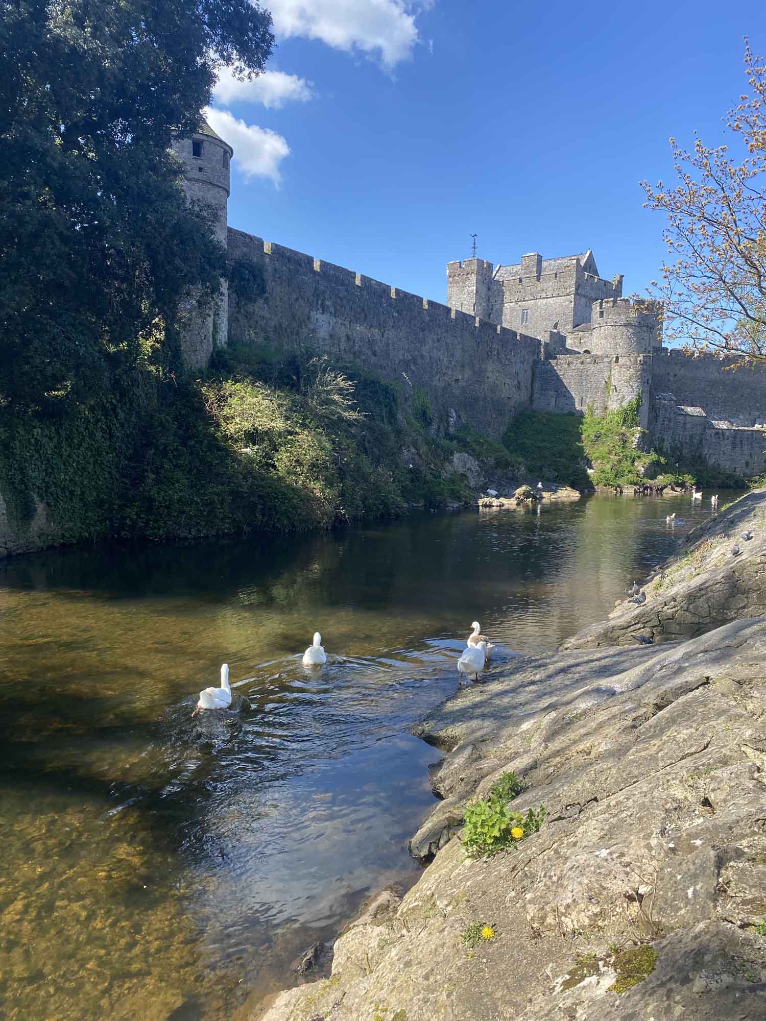 從都柏林出發，前往布拉尼城堡、卡舍爾岩石和卡希爾城堡一日遊